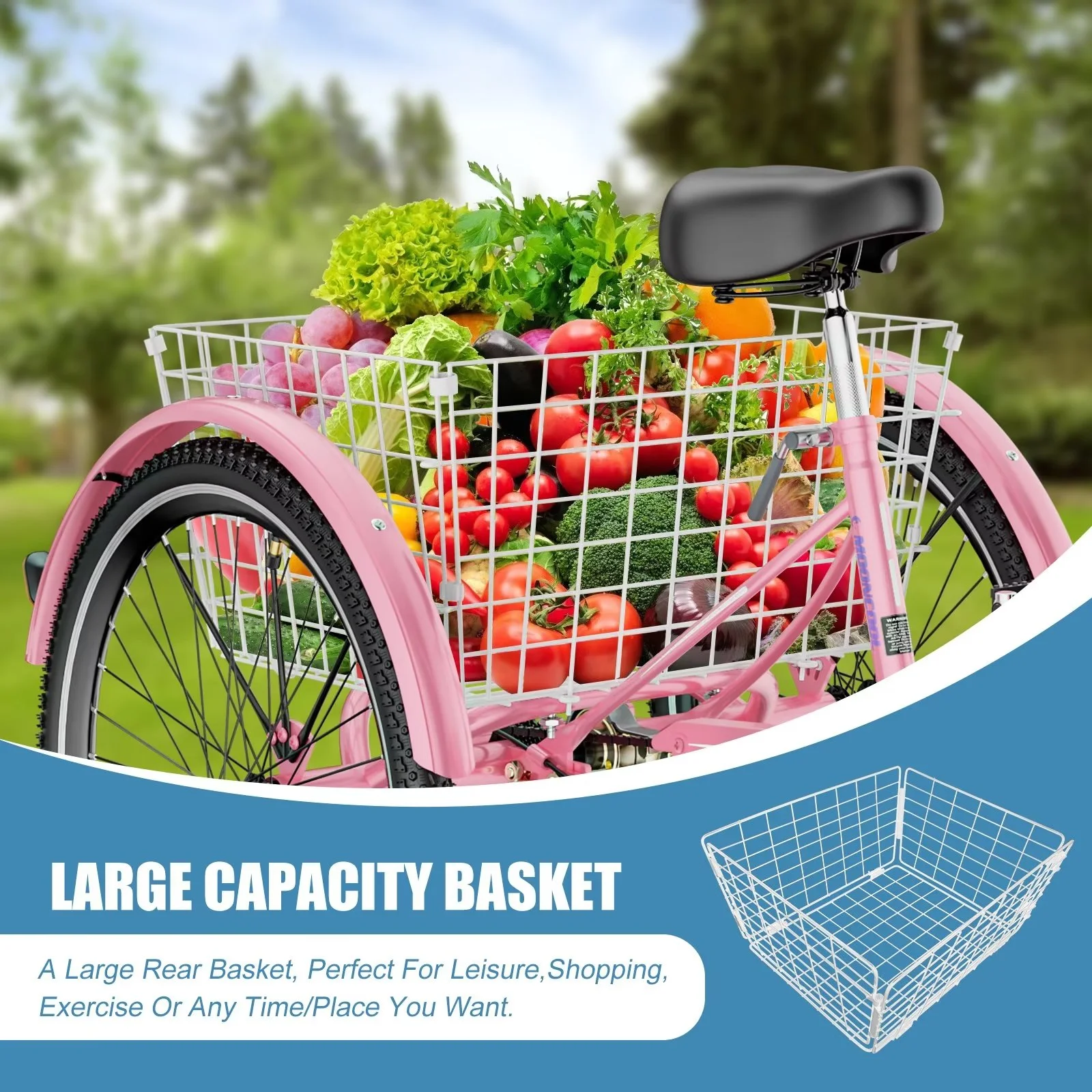 MOPHOTO Adult Tricycle 20/24/26 inch 3 Wheel Bicycle,3 Wheel Bikes for Adults,7 Speed Low Stepover Frame Tricycle with Basket/Bell,3 Wheel Bicycle for Seniors,Women,Men - Womvr