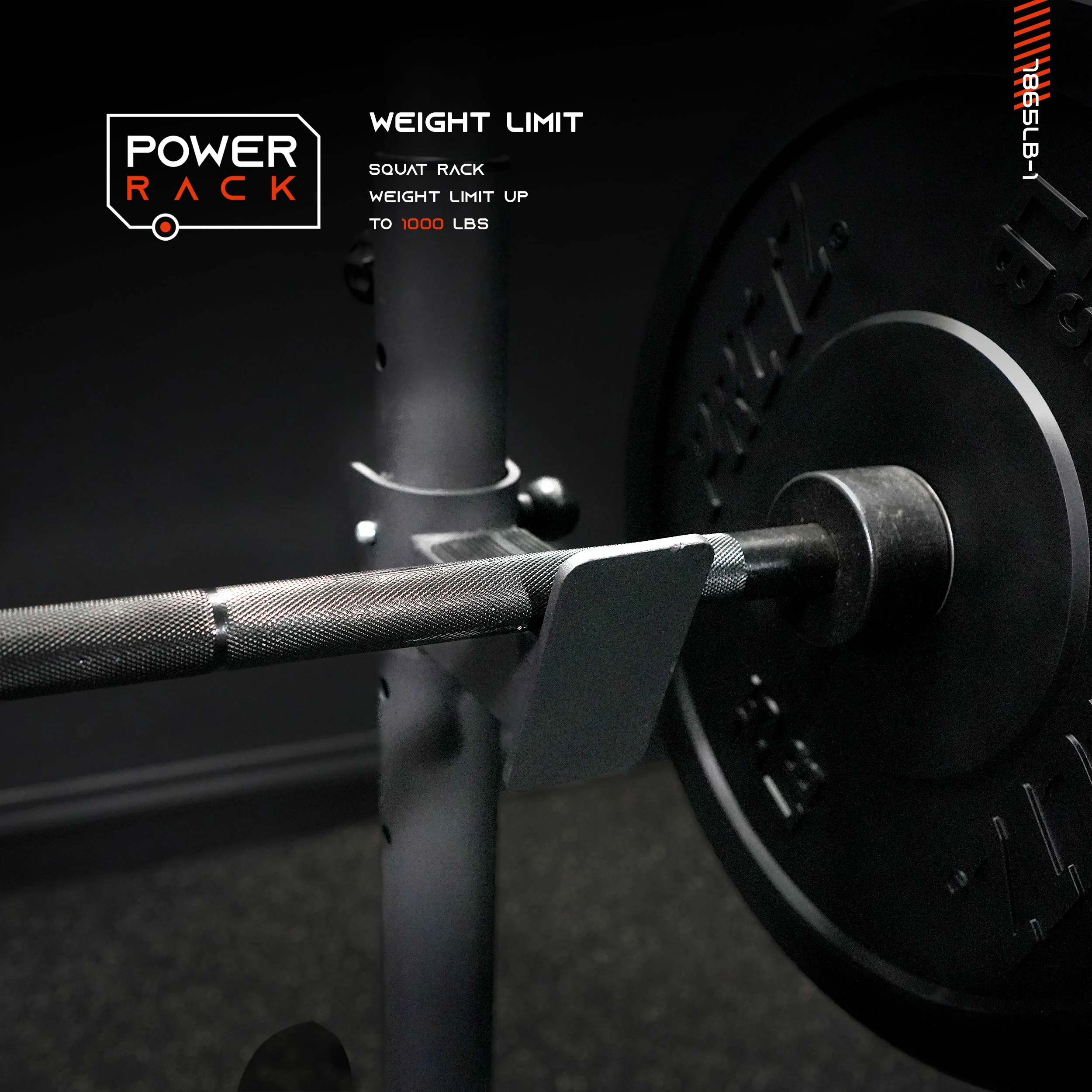 PRCTZ Two-Piece Olympic Weight Bench with Squat Rack, Foldable FID Bench, and Weight Storage - Womvr