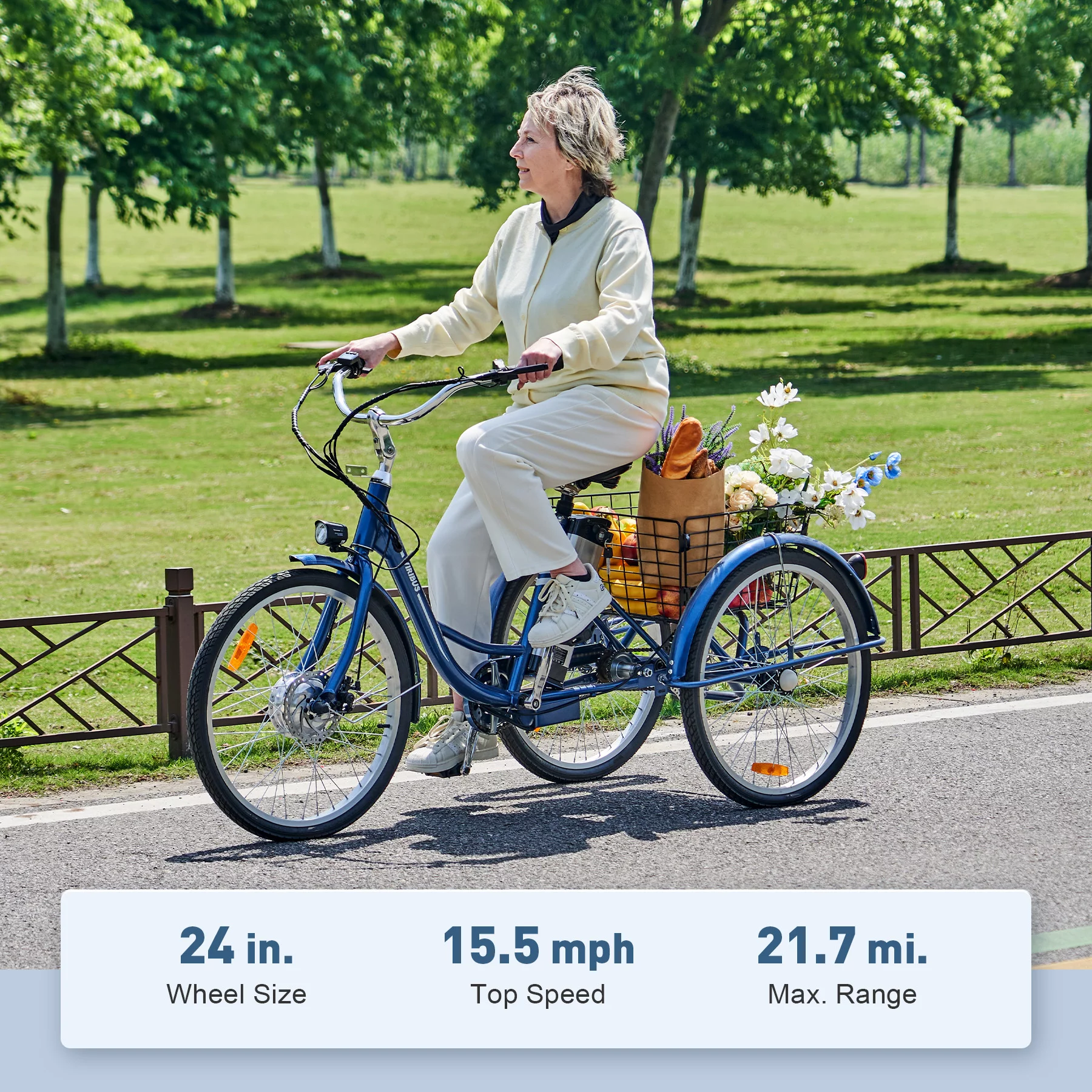 VIRIBUS 24 Inch Adult Trike 350W Dual Chain Electric Tricycle 36V 10Ah Navy - Womvr