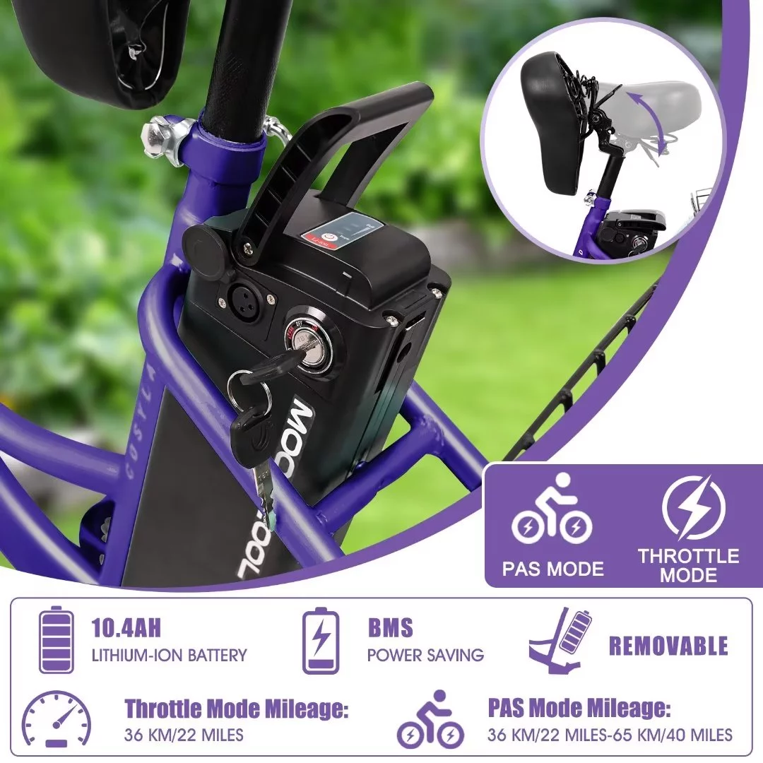 Docred 3 Wheel Electric Bike, 15.5 mph 500W Electric Tricycles for Adult .36V 7 Speeds Electric Trike,24In - Womvr
