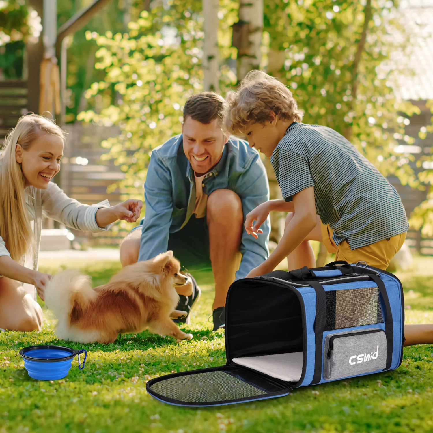 Cat Carrier, Soft Sided Cat Carriers for Large Small Medium Dogs Cats Under 25lbs, Foldable Pet Travel Carrier with a Bowl/Washable Pad, TSA Airline Approved, Blue - Womvr