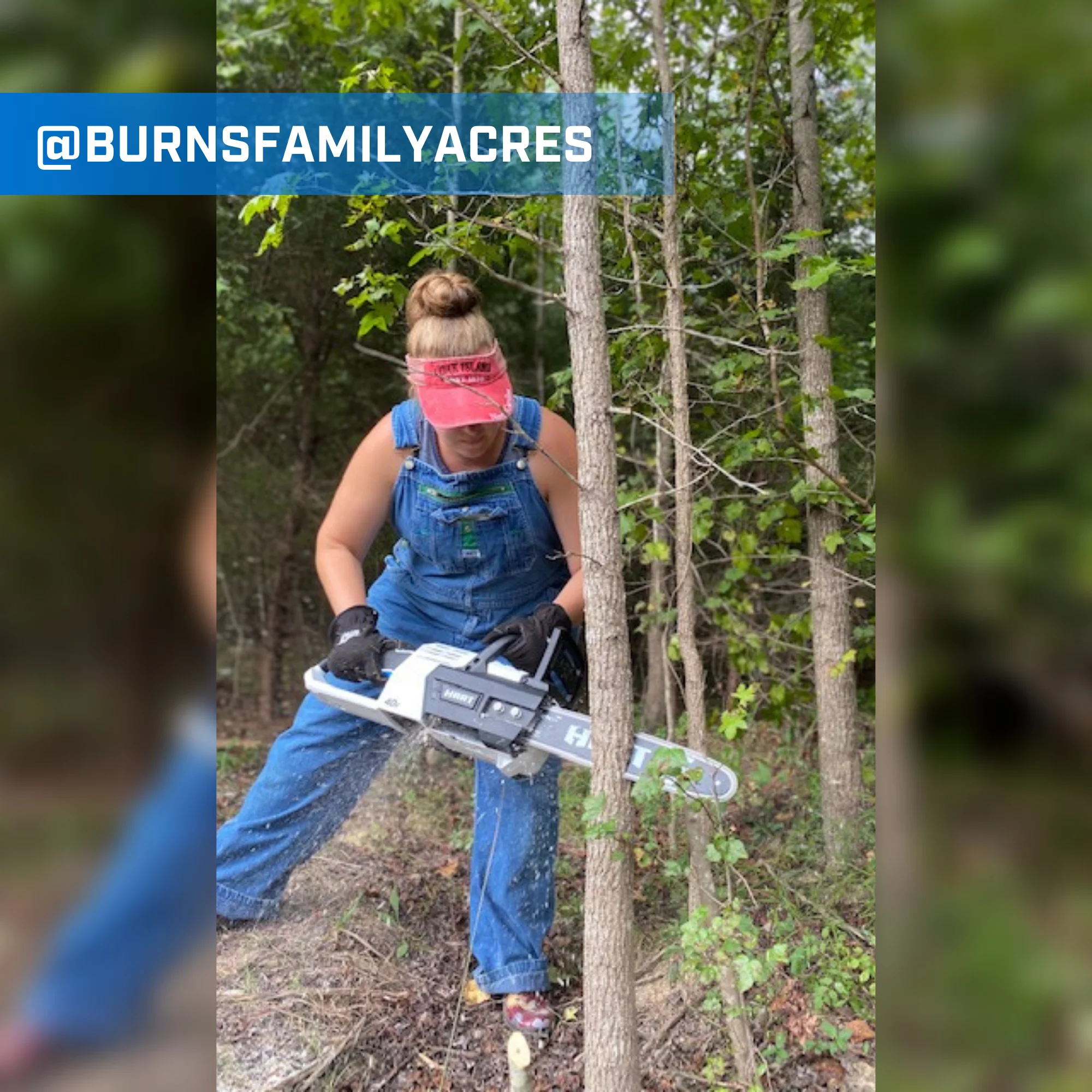 HART 40-Volt 14-inch Battery-Powered Brushless Chainsaw Kit, (1) 4.0Ah Lithium-Ion Battery - Womvr