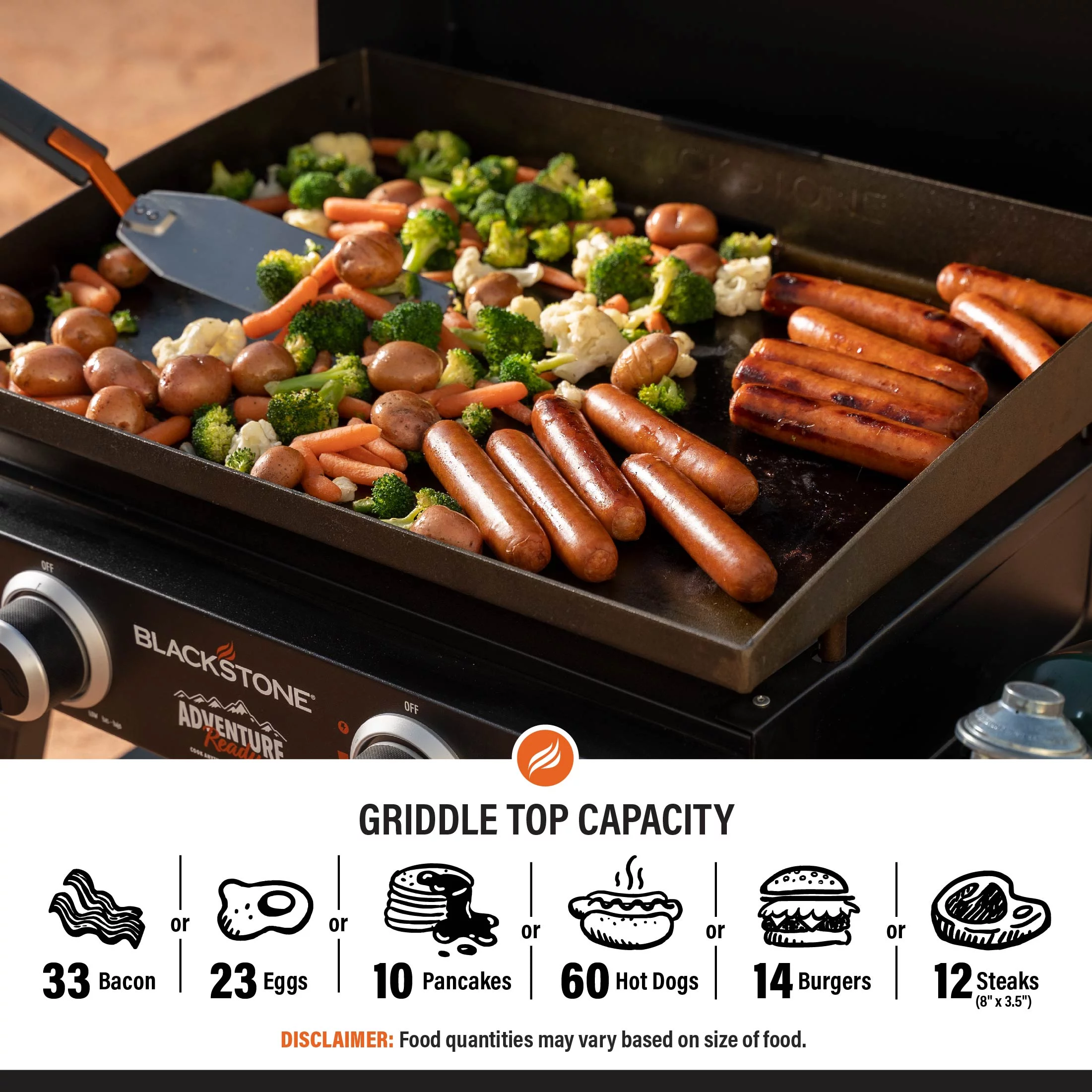 Blackstone Adventure Ready 22