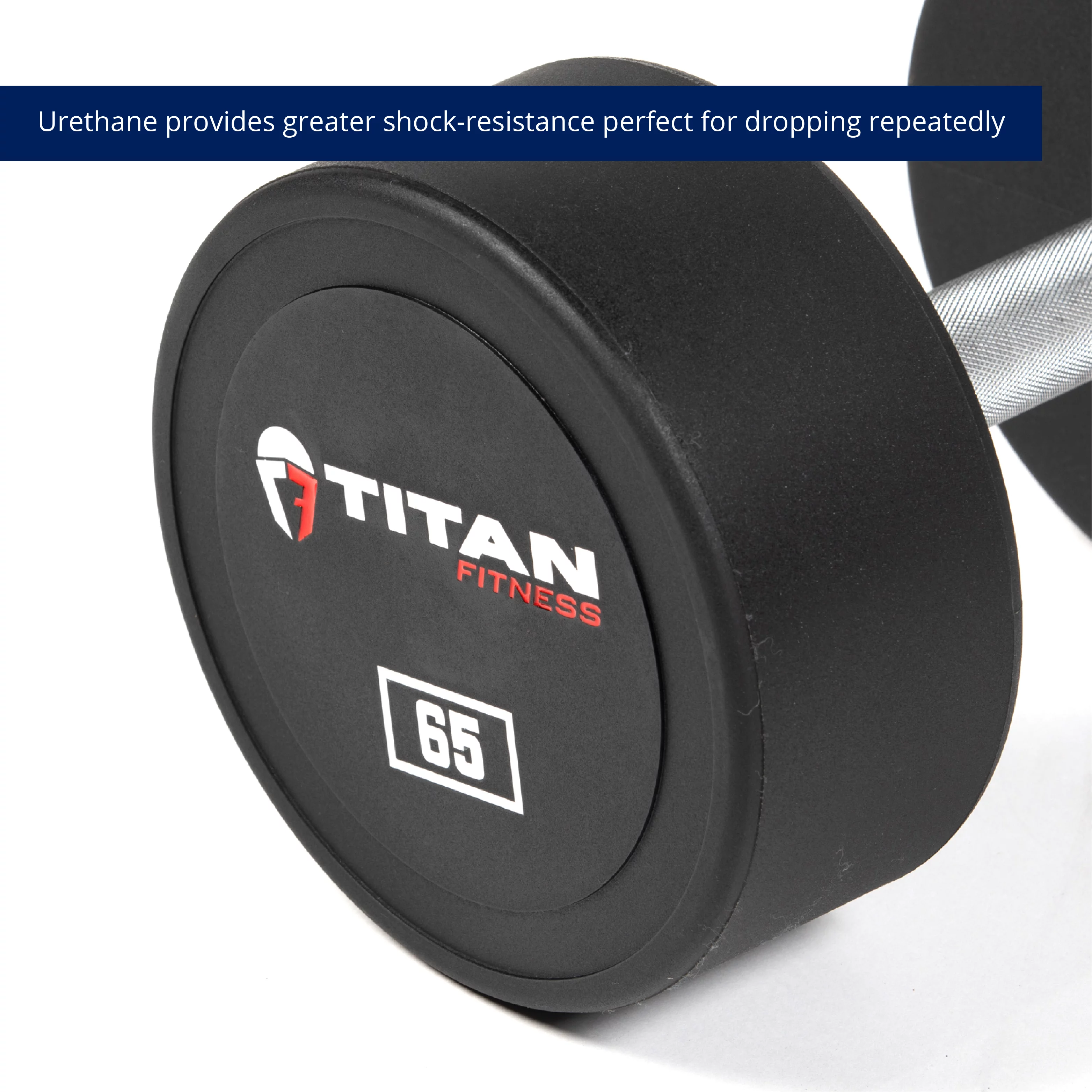 Titan Fitness 25 lb. Pair Round Urethane Dumbbells - Womvr