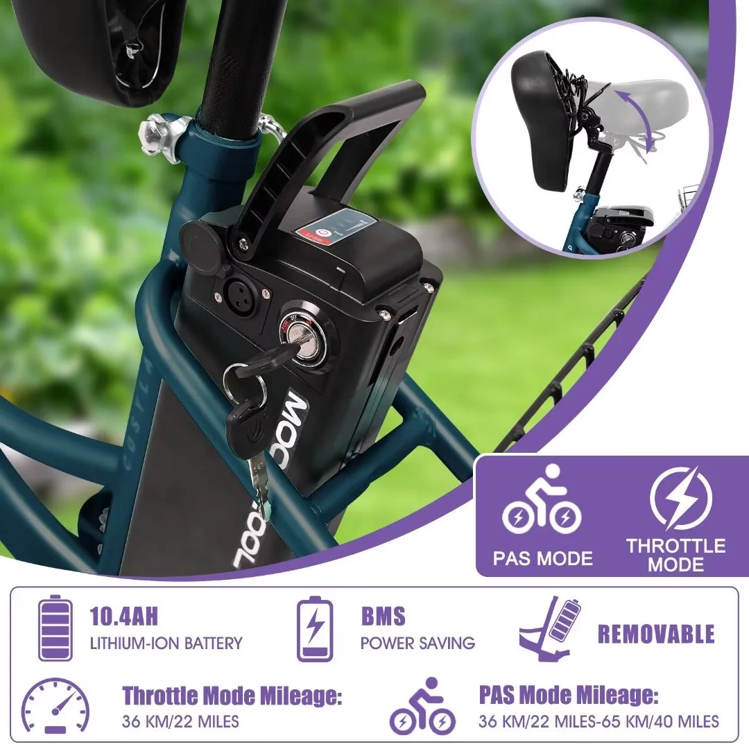 Docred 3 Wheel Electric Bike, 15.5 mph 500W Electric Tricycles for Adult .36V 7 Speeds Electric Trike,24In - Womvr