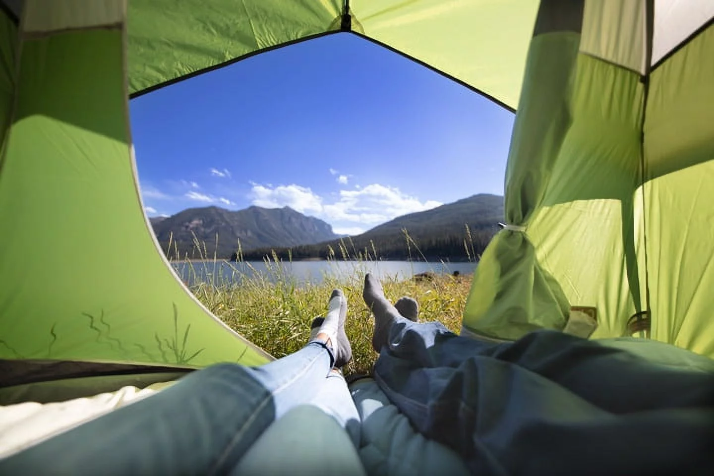 Coleman Sundome 6-Person Dome Tent, 72