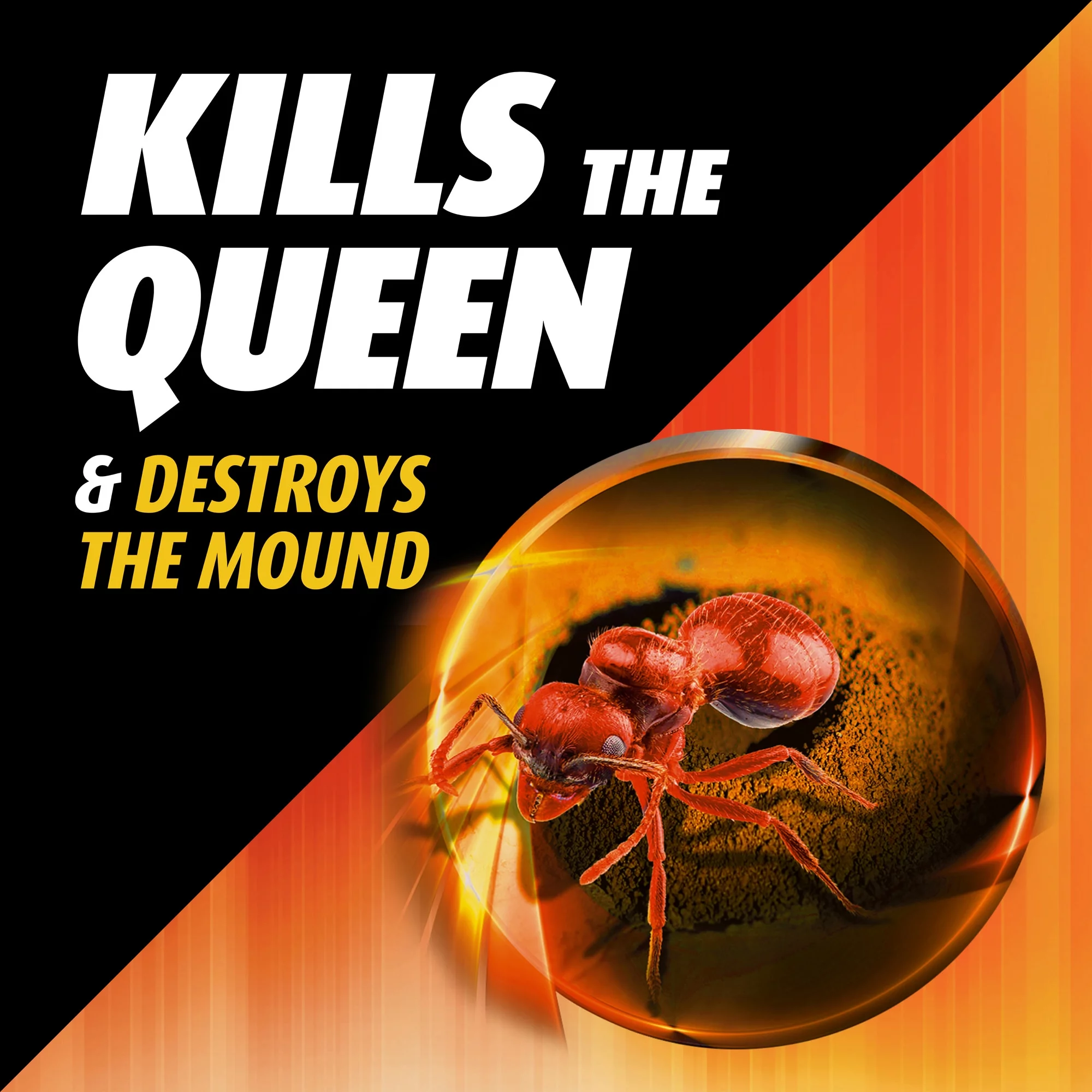 Ortho Orthene Fire Ant Killer1, Kills Queen & Destroys Mound, 12 oz. - Womvr