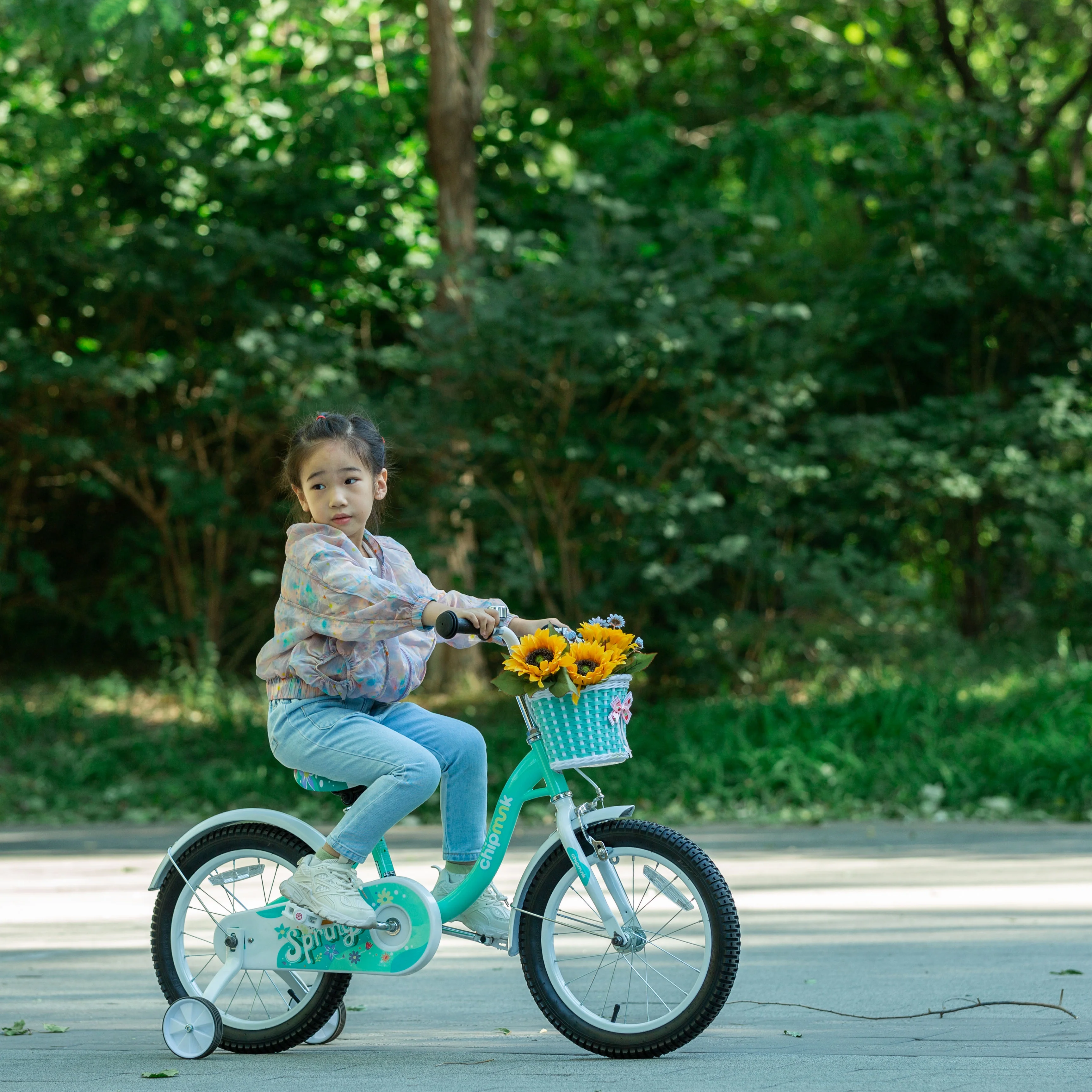 RoyalBaby Spring Kids Bike Girls 16 Inch Bicycle with Basket for Ages 3-9 Years Training Wheel Options Green - Womvr