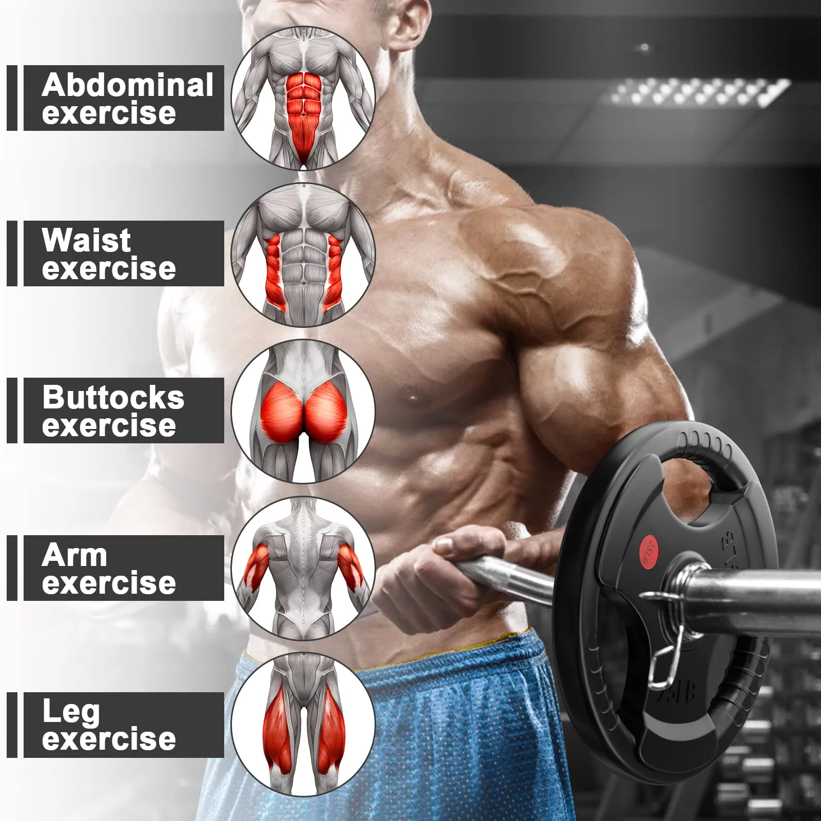 GIKPAL 90lbs Weight Plates 2 Inch Rubber Coated Olympic Weight Plate for Weightlifting in Home Gym, Solid Cast Iron Bumper Plates for Barbell - Womvr