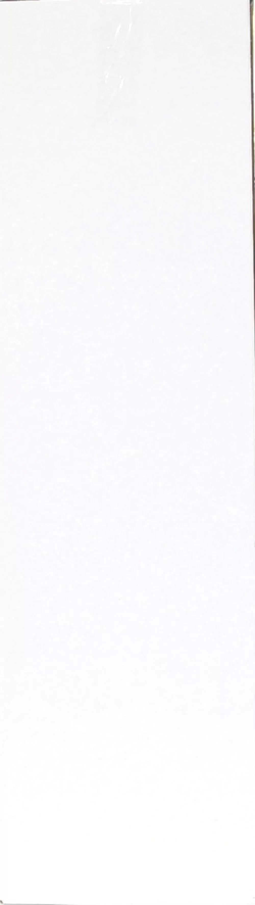 Everlast 70 lbs. Heavy Bag Kit - Womvr