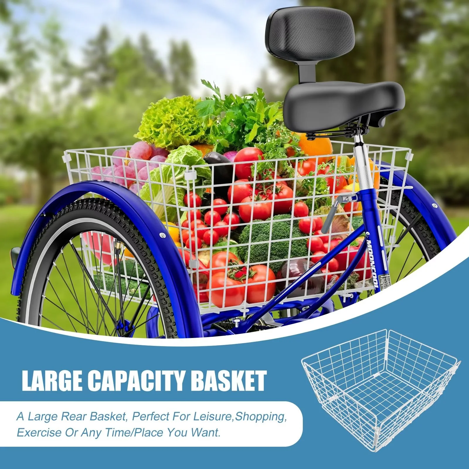 MOPHOTO Adult Tricycle 20/24/26 inch 3 Wheel Bicycle,3 Wheel Bikes for Adults,7 Speed Low Stepover Frame Tricycle with Basket/Bell,3 Wheel Bicycle for Seniors,Women,Men - Womvr