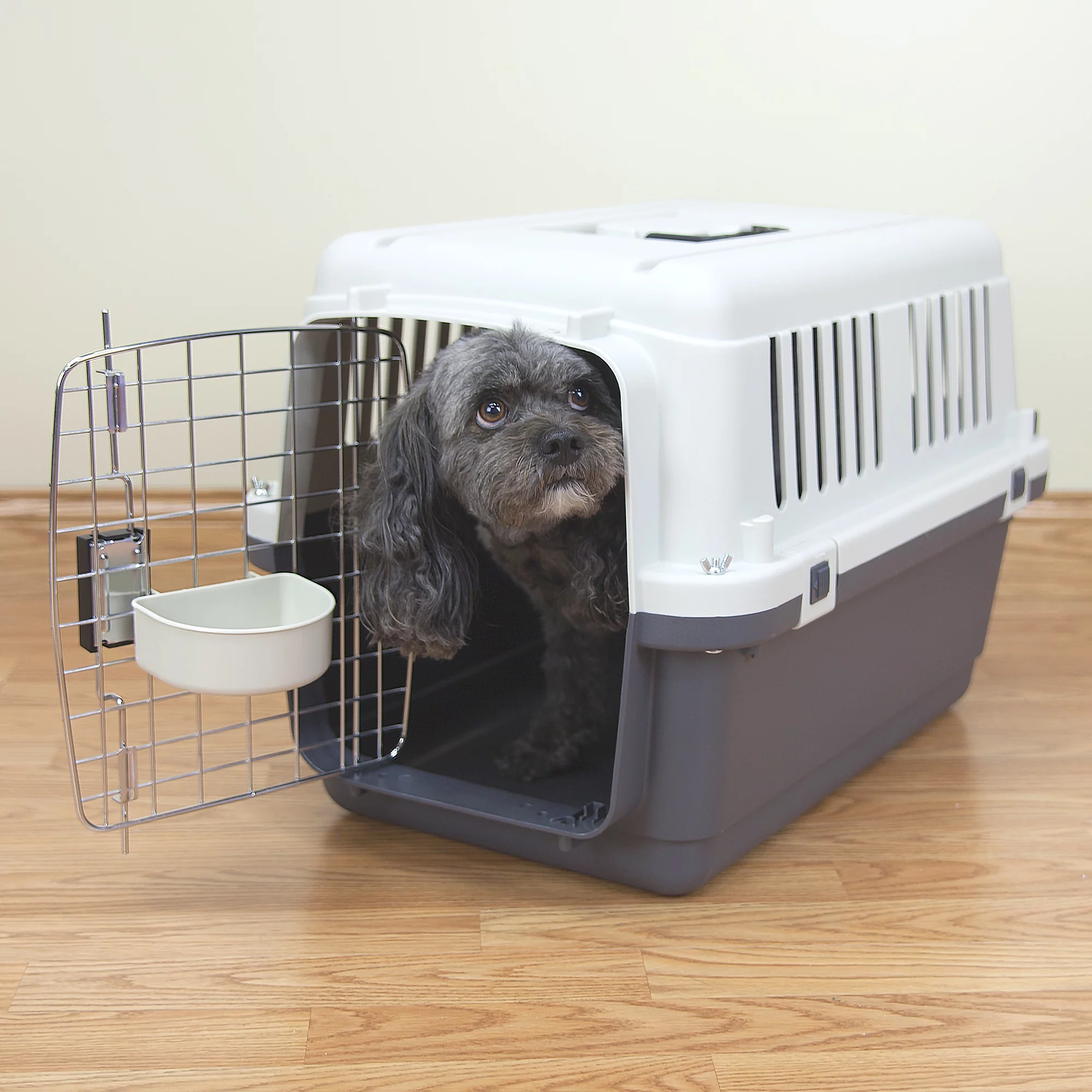 SportPet Designs Plastic Dog IATA Airline Approved Kennel Carrier, Medium, 1 Piece - Womvr