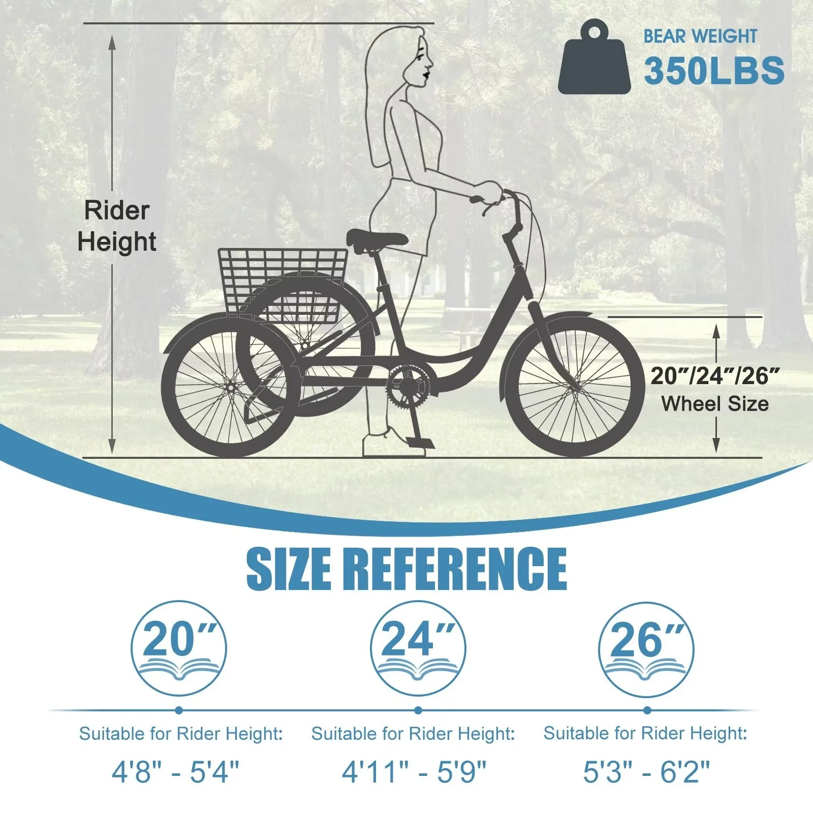 MOPHOTO Adult Tricycle 20/24/26 inch 3 Wheel Bicycle,3 Wheel Bikes for Adults,7 Speed Low Stepover Frame Tricycle with Basket/Bell,3 Wheel Bicycle for Seniors,Women,Men - Womvr