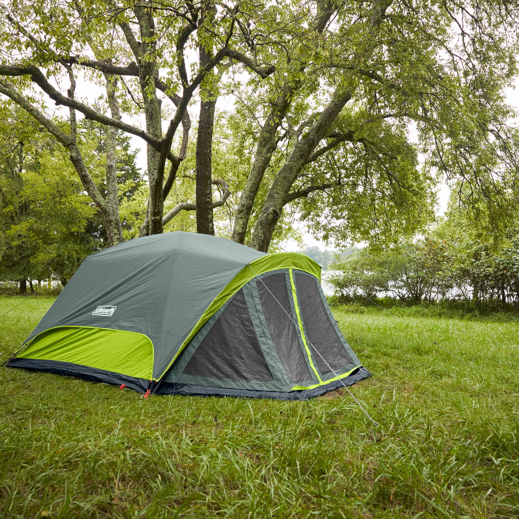 Coleman Skydome 6 Person Camping Tent with Screen Room and Bag, Rock Gray - Womvr