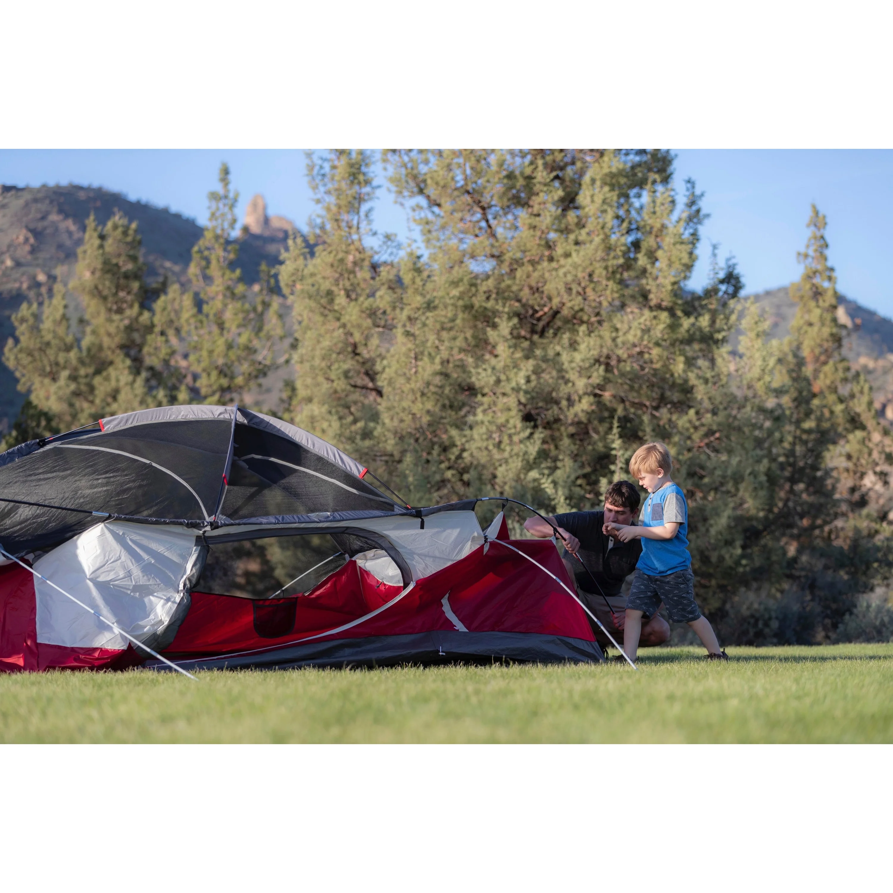 Coleman 8-Person Cimarron Dome-Style Camping Tent - Womvr