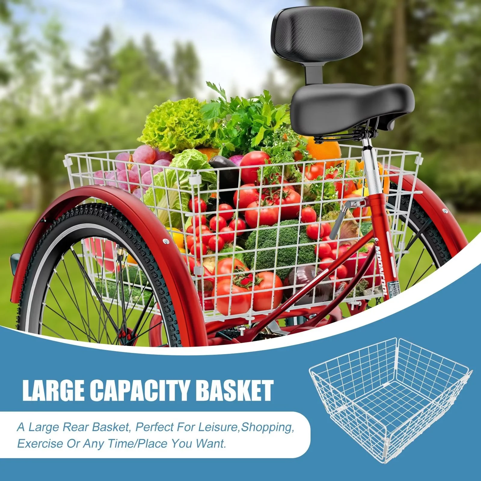 MOPHOTO Adult Tricycle 20/24/26 inch 3 Wheel Bicycle,3 Wheel Bikes for Adults,7 Speed Low Stepover Frame Tricycle with Basket/Bell,3 Wheel Bicycle for Seniors,Women,Men - Womvr