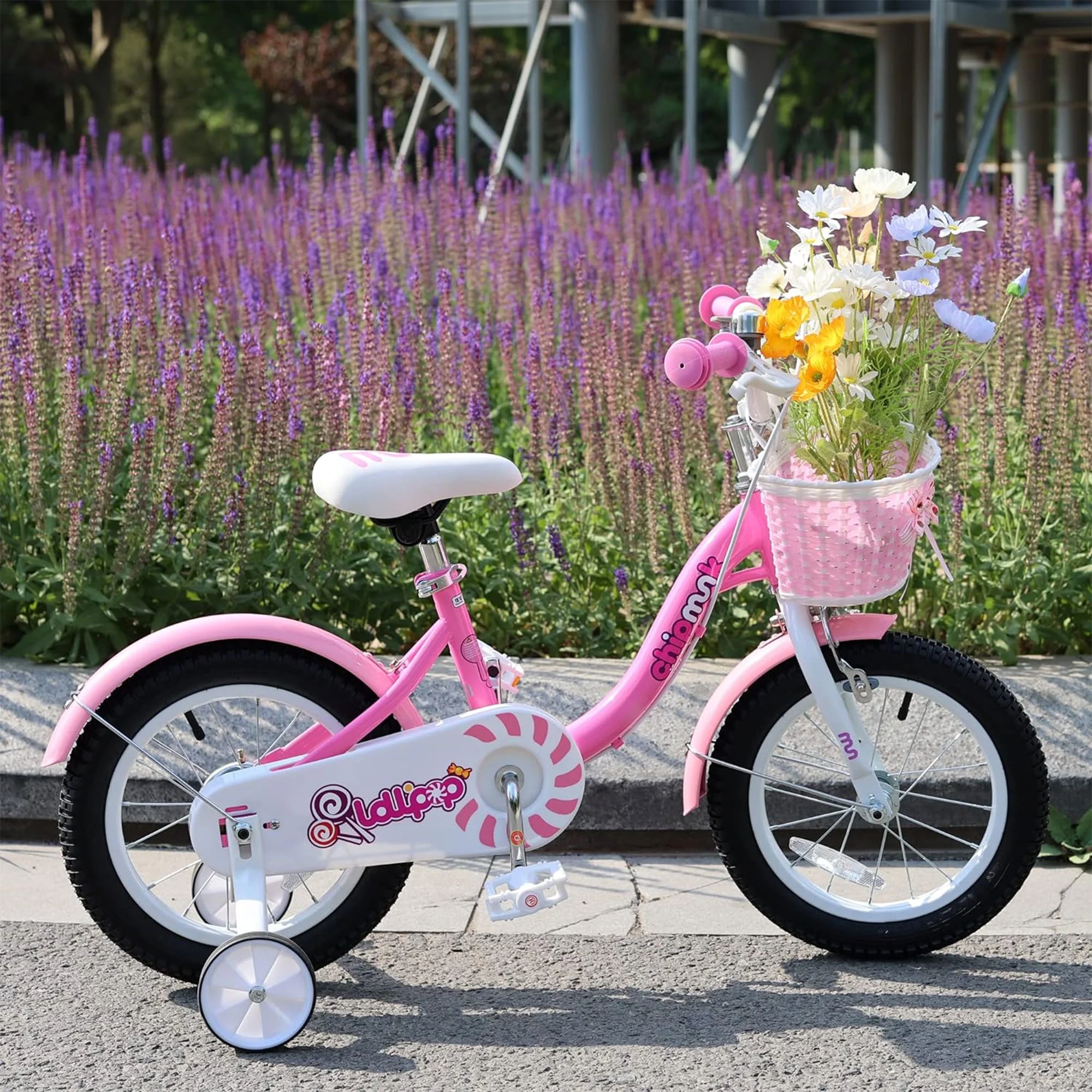 RoyalBaby Chipmunk Girls Kids Bike Bicycle with Basket Training Wheels 14 Inch Lollipop Pink - Womvr