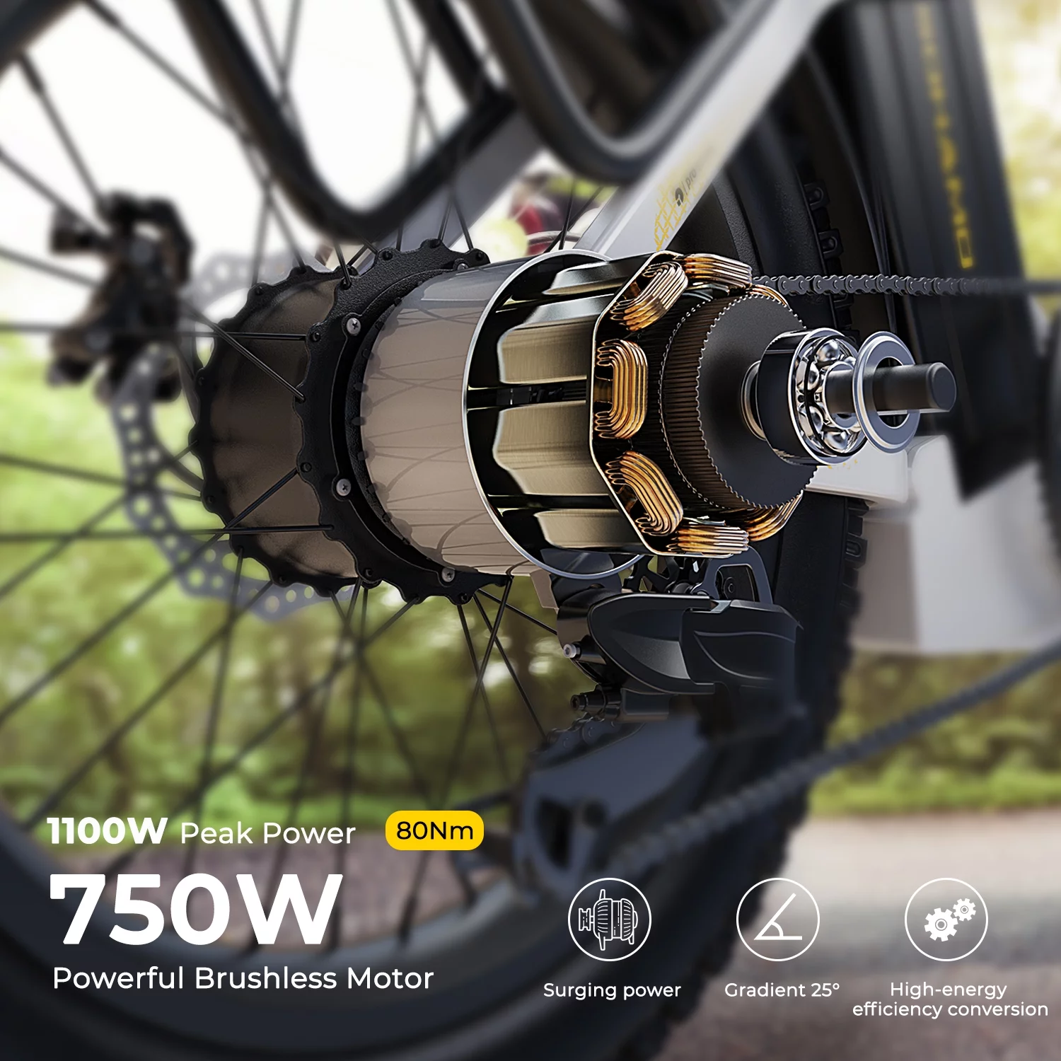 SOHAMO Adult Electric Bike, 750W Motor 26