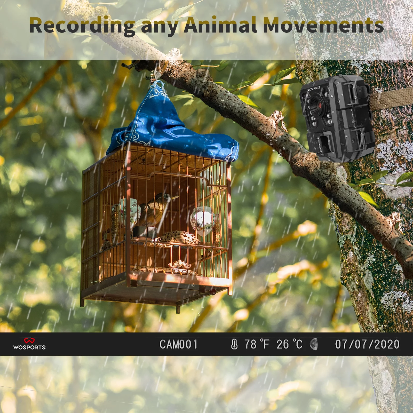 WOSPORTS Mini Trail Camera 24MP 1080P Waterproof Infrared Digital Hunting Game Camera - Womvr