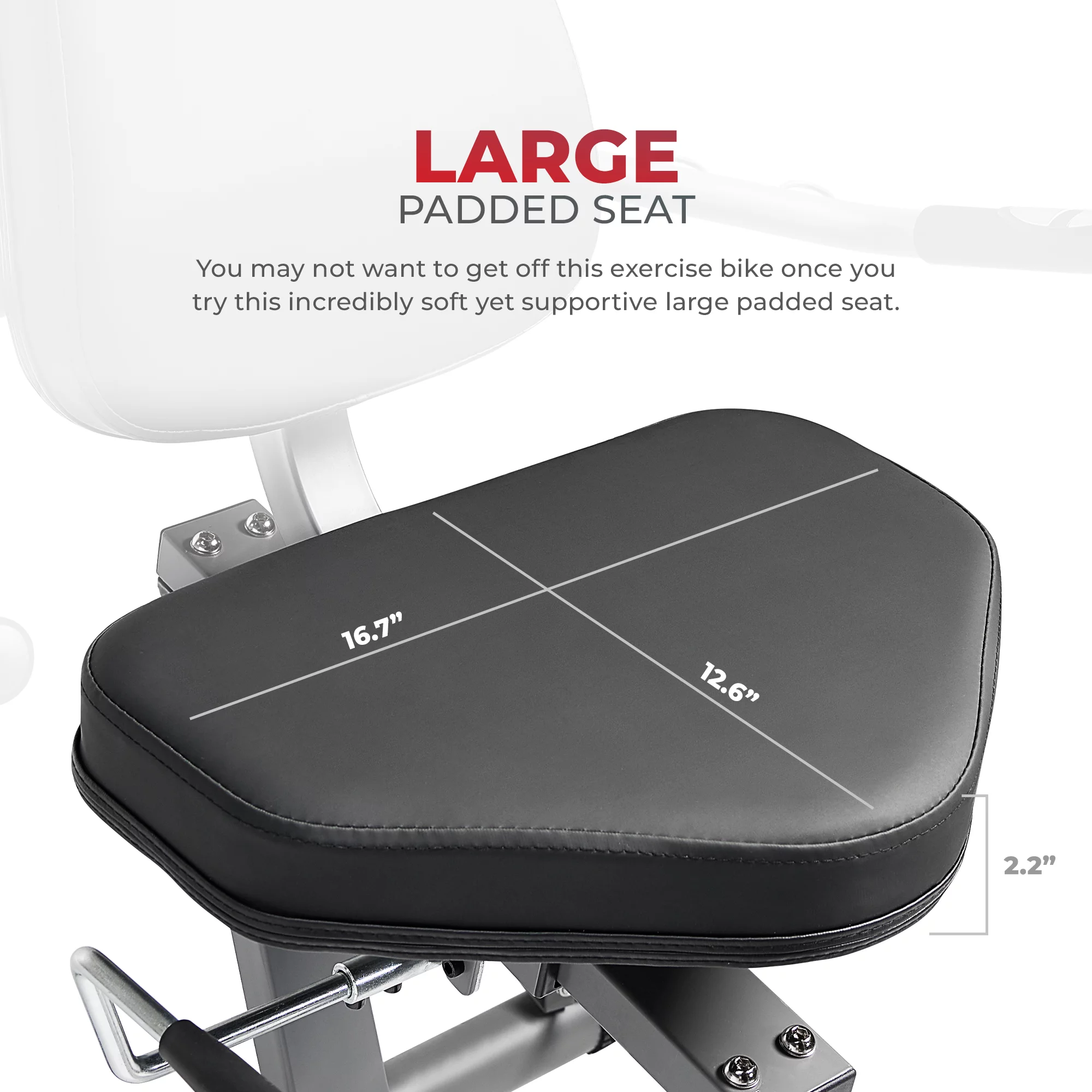 Sunny Health & Fitness Performance Interactive Series Recumbent Exercise Bike - SF-RB420031 - Womvr