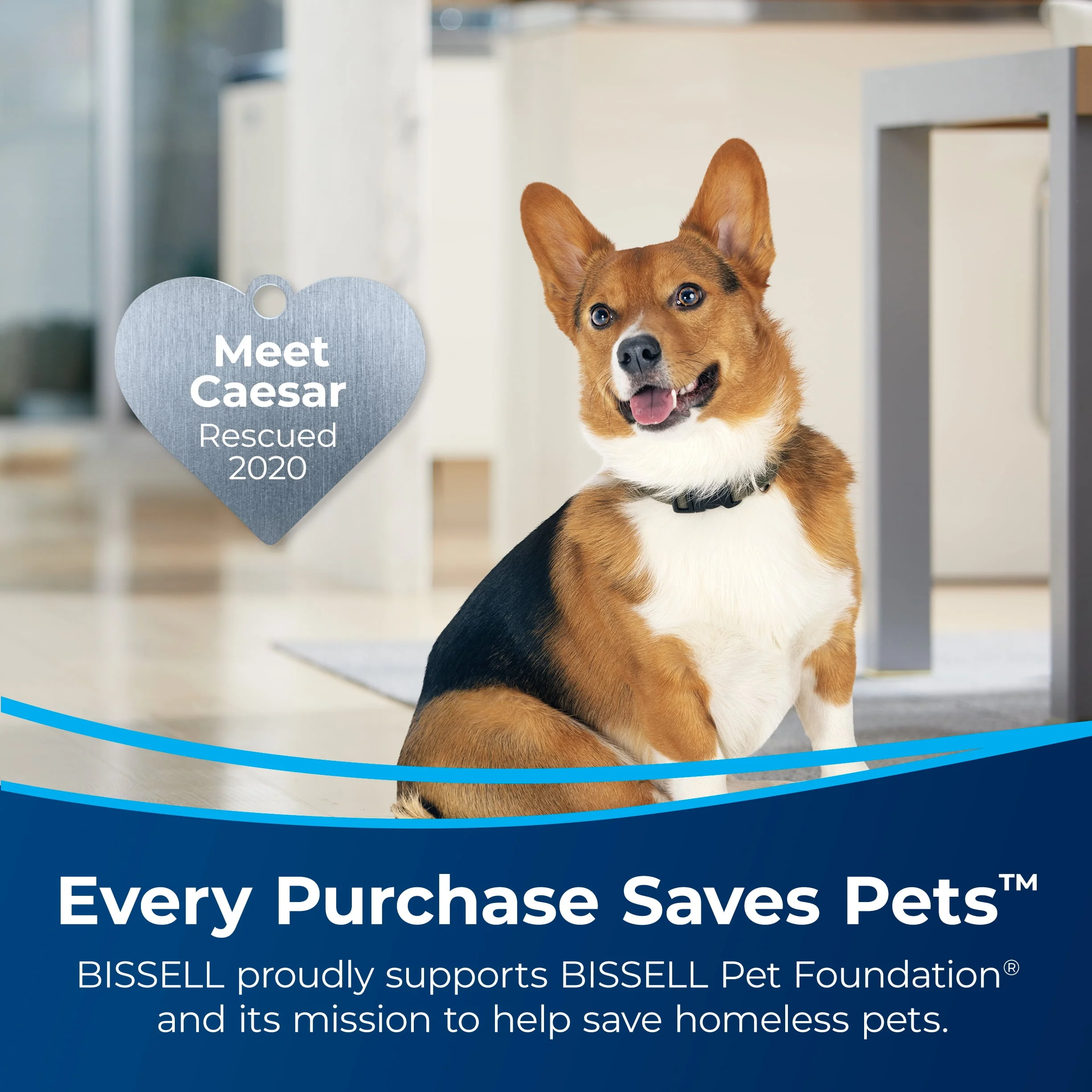 BISSELL PowerForce Helix Turbo Rewind Pet Upright Vacuum 3333 - Womvr