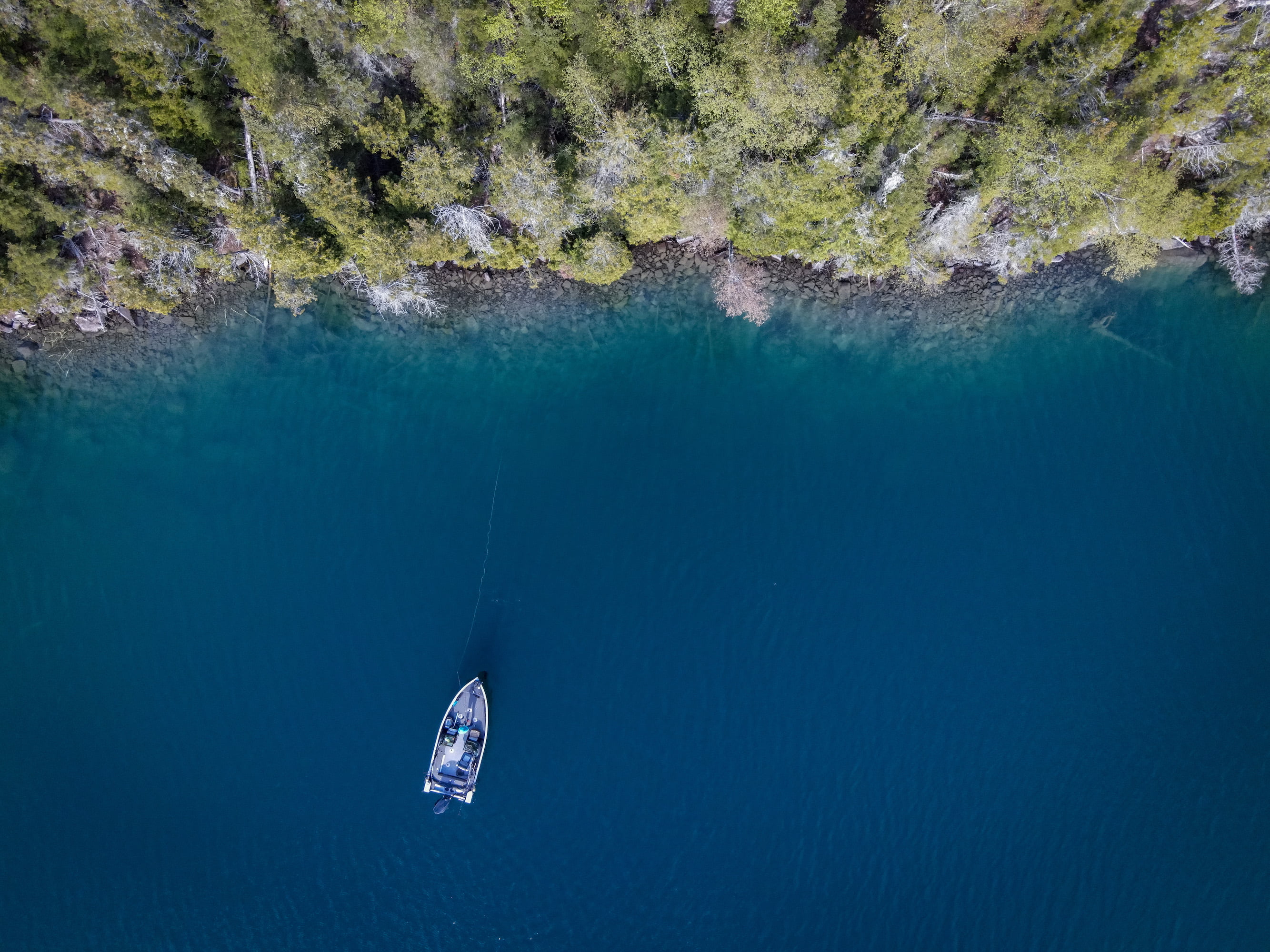 Okuma Magda 20DX Line Counter Reel, Fishing Reel - Womvr