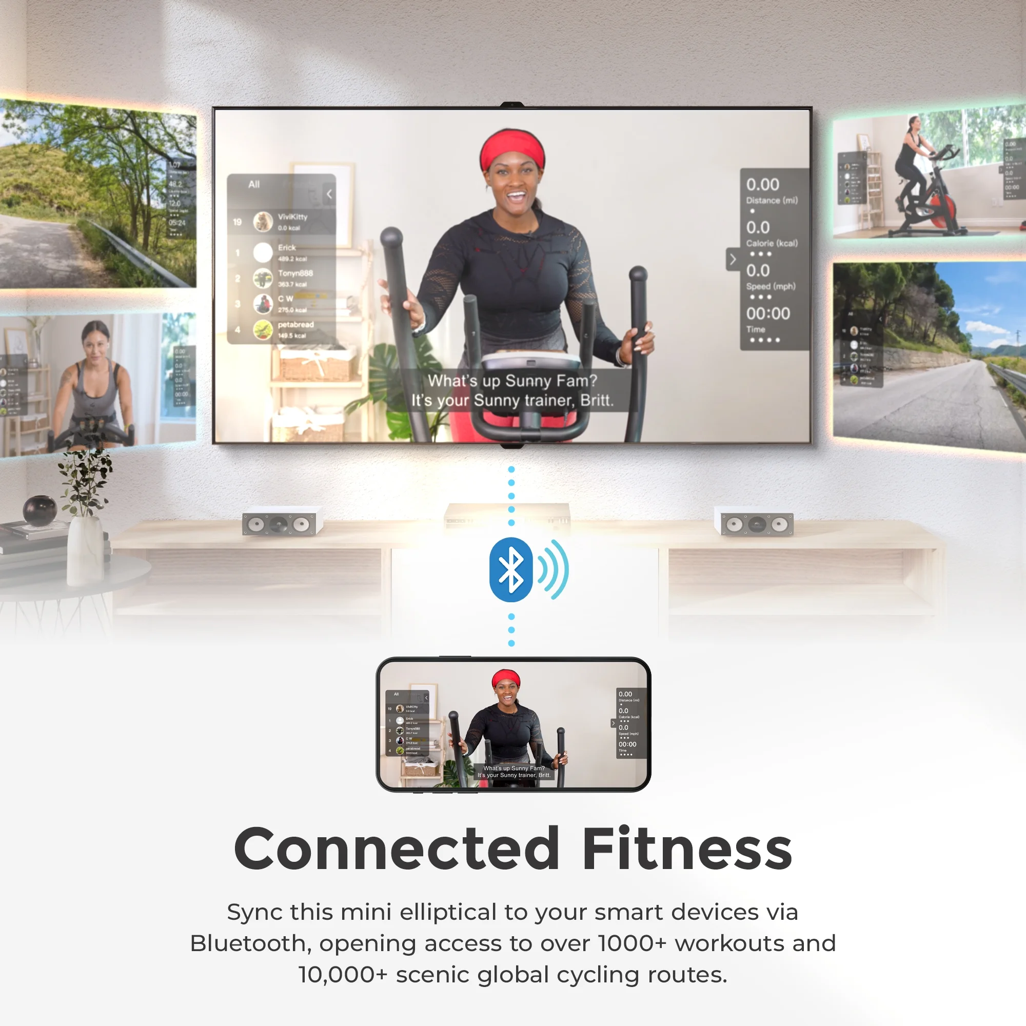 Sunny Health & Fitness Magnetic Under Desk Elliptical Peddler Exerciser - SF-E3872 - Womvr