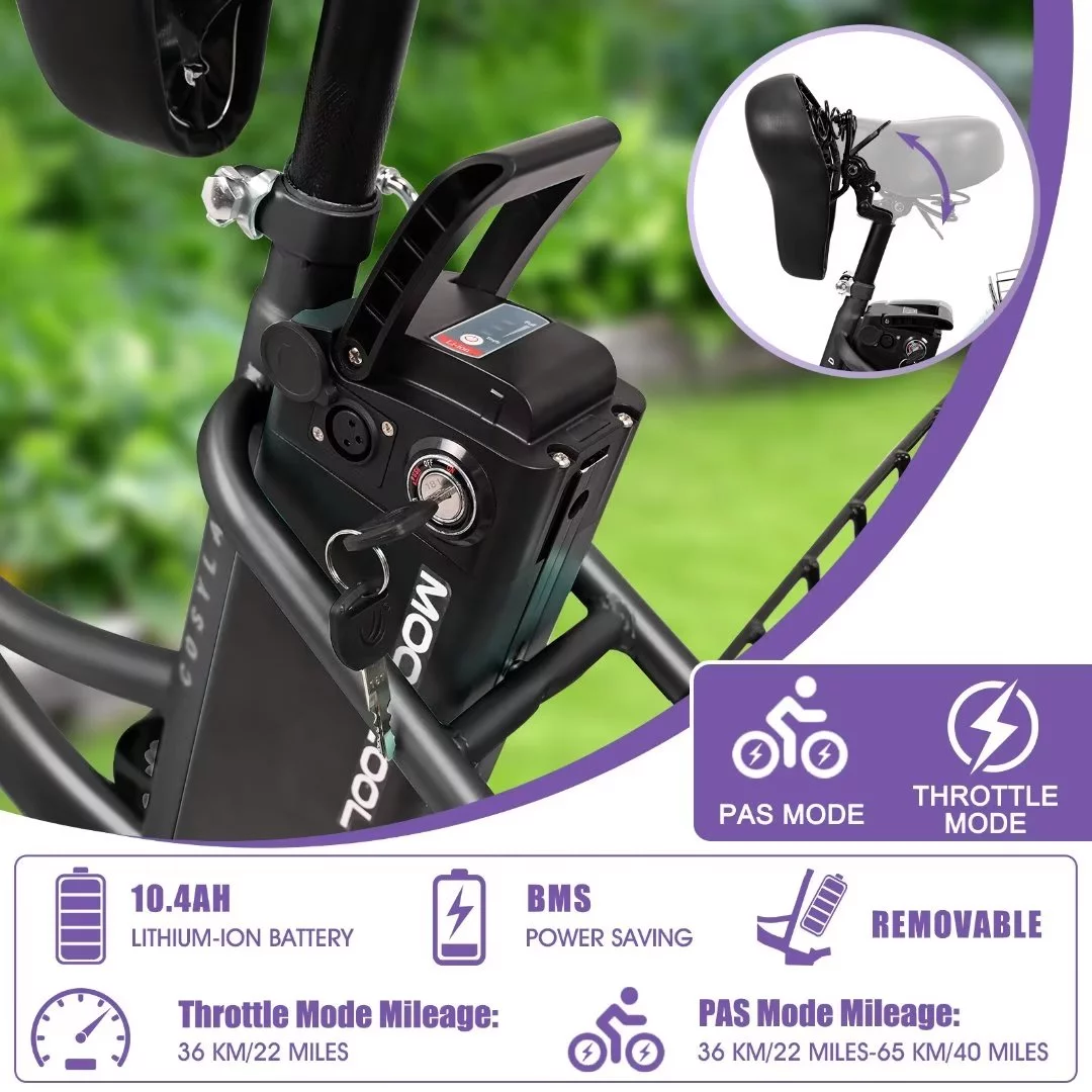 Docred 3 Wheel Electric Bike, 15.5 mph 500W Electric Tricycles for Adult .36V 7 Speeds Electric Trike,24In - Womvr