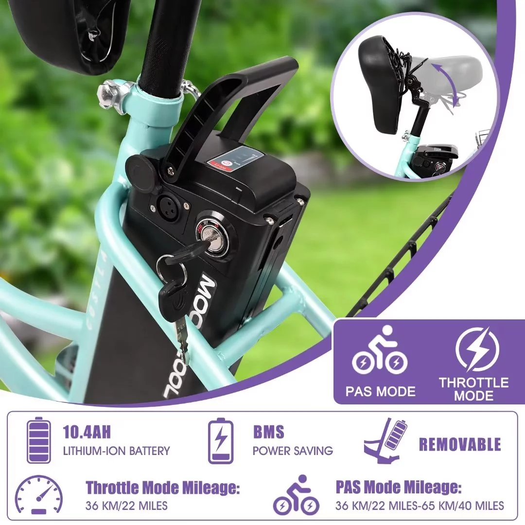 Docred 3 Wheel Electric Bike, 15.5 mph 500W Electric Tricycles for Adult .36V 7 Speeds Electric Trike,24In - Womvr