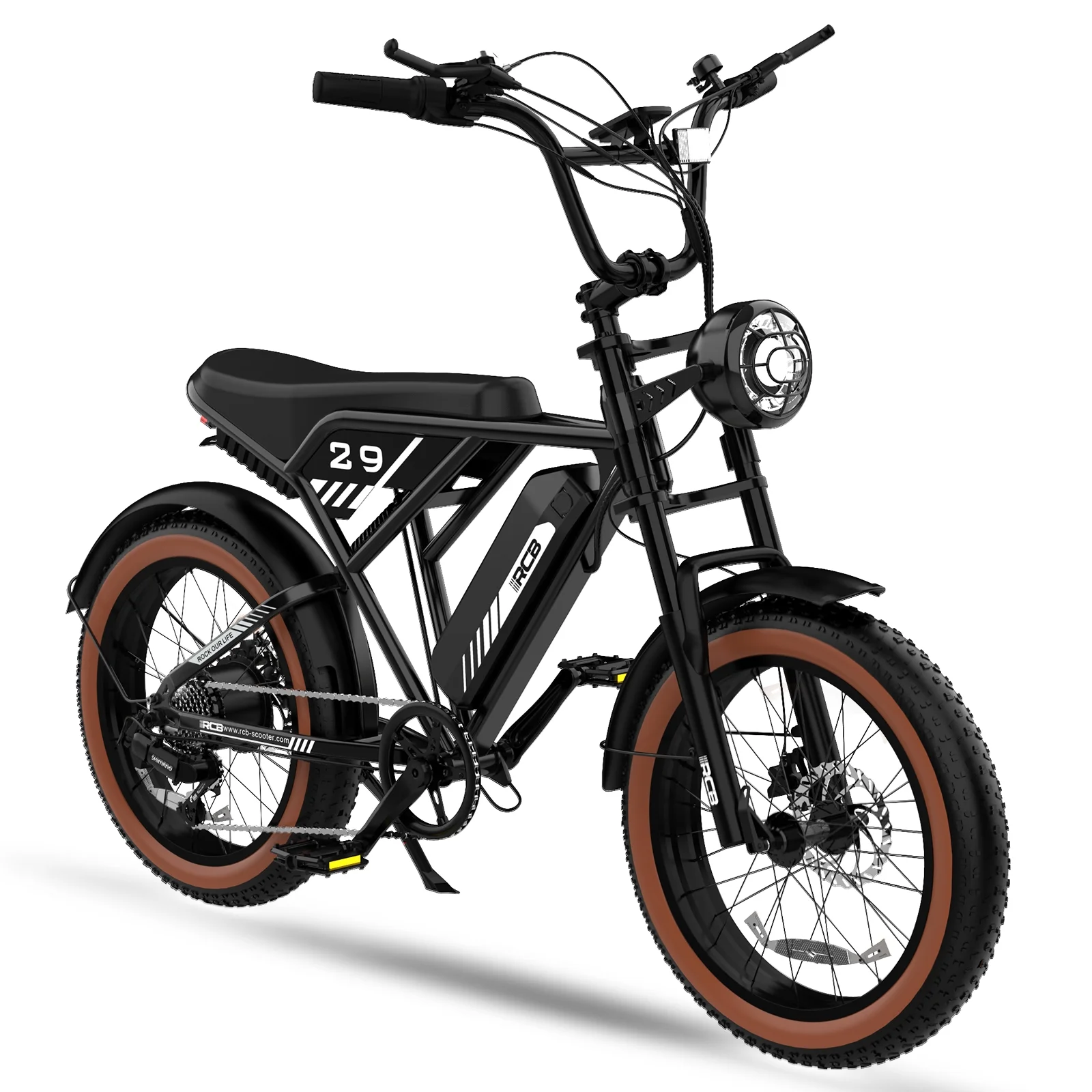 RCB 750W Electric Bike for Adults, 48V 15Ah Removable Li-Ion Battery, 20