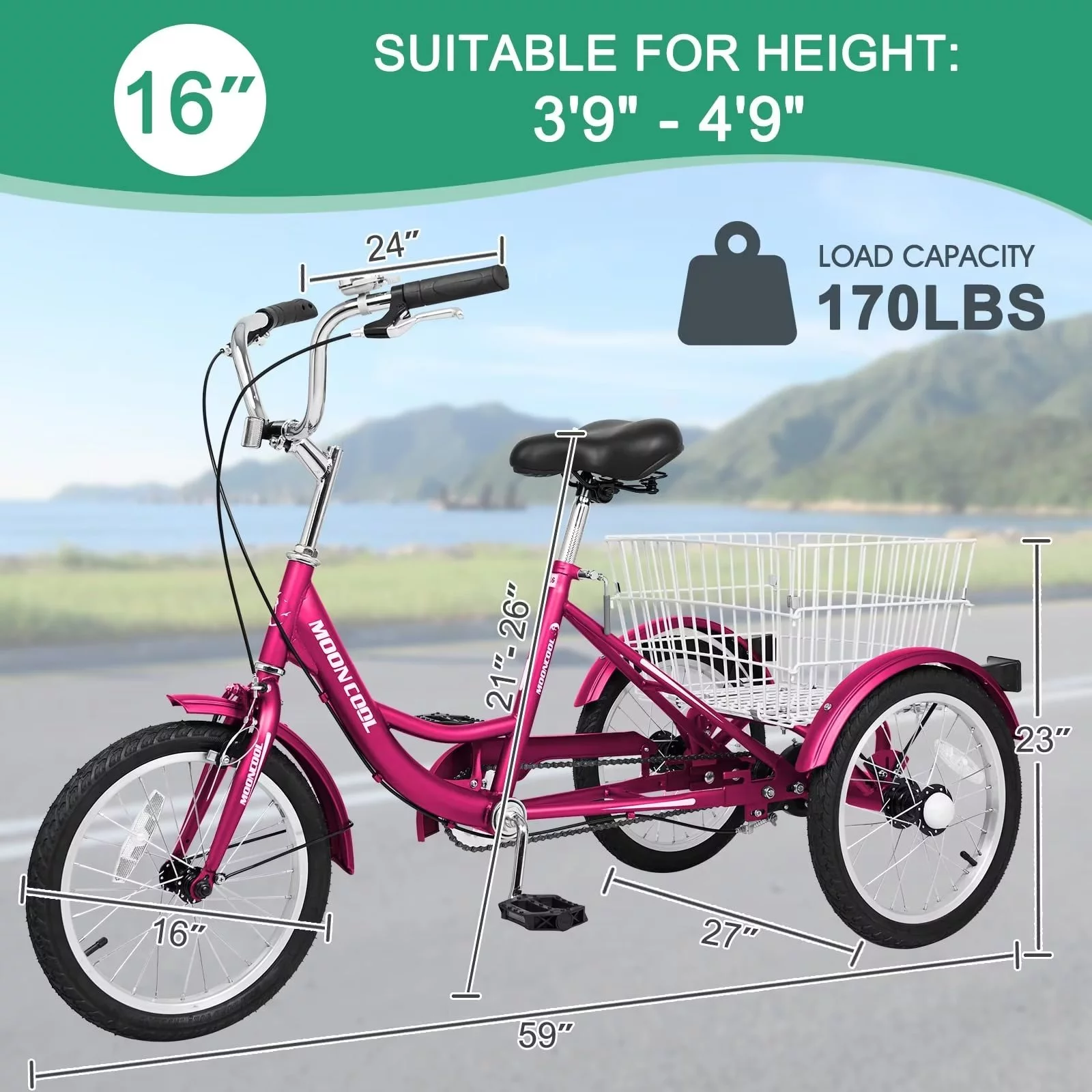 Lilypelle Adult Tricycles 7 Speed 20/24/26 Inch Three Wheel Bike Cruiser Trike with Low-Step Through Frame/Large Basket for Men, Women, Seniors - Womvr