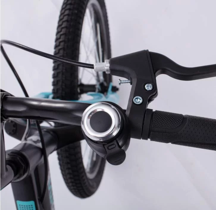 Royalbaby Explorer 20 In. Children's Bicycle, Black and Blue - Womvr