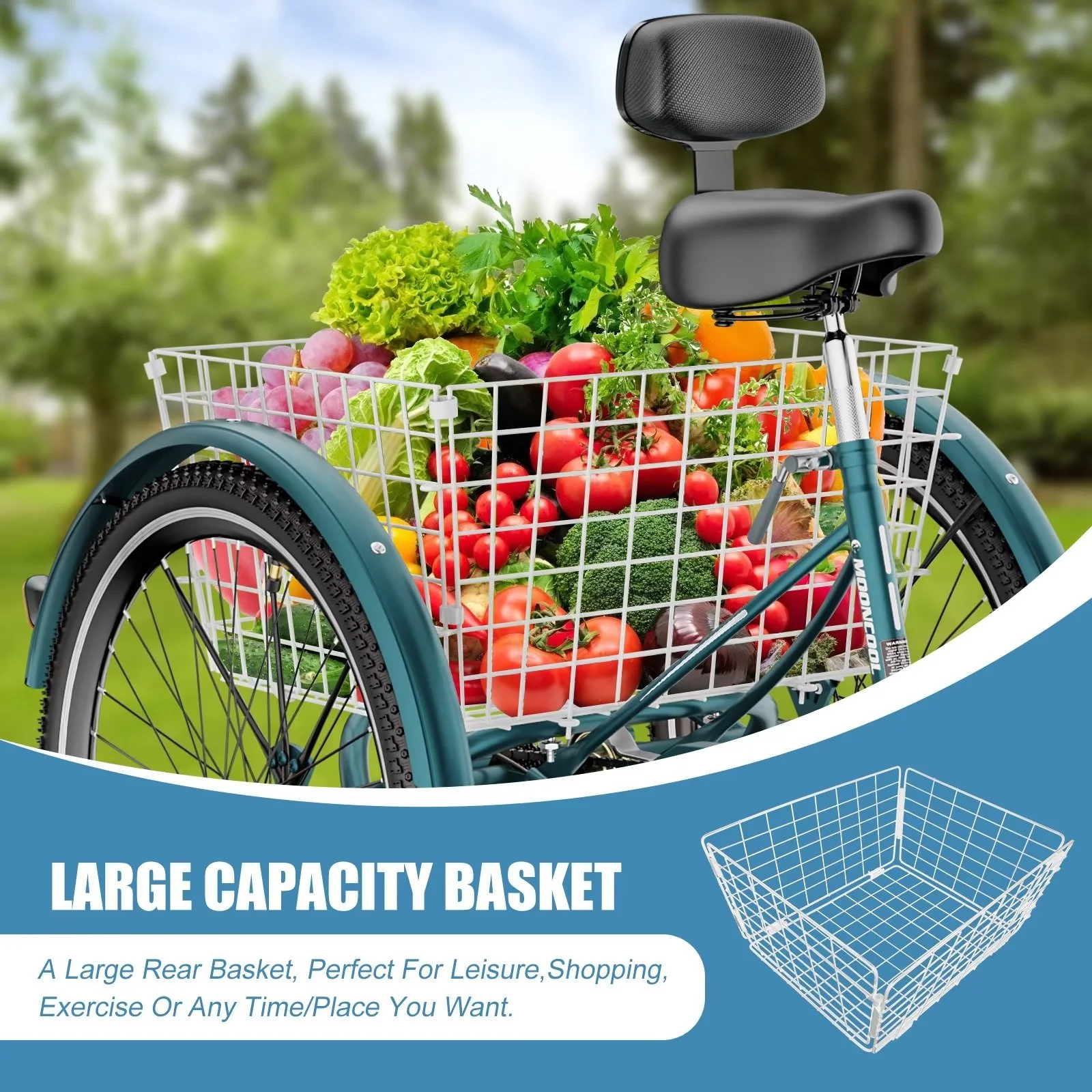 MOPHOTO Adult Tricycle 20/24/26 inch 3 Wheel Bicycle,3 Wheel Bikes for Adults,7 Speed Low Stepover Frame Tricycle with Basket/Bell,3 Wheel Bicycle for Seniors,Women,Men - Womvr