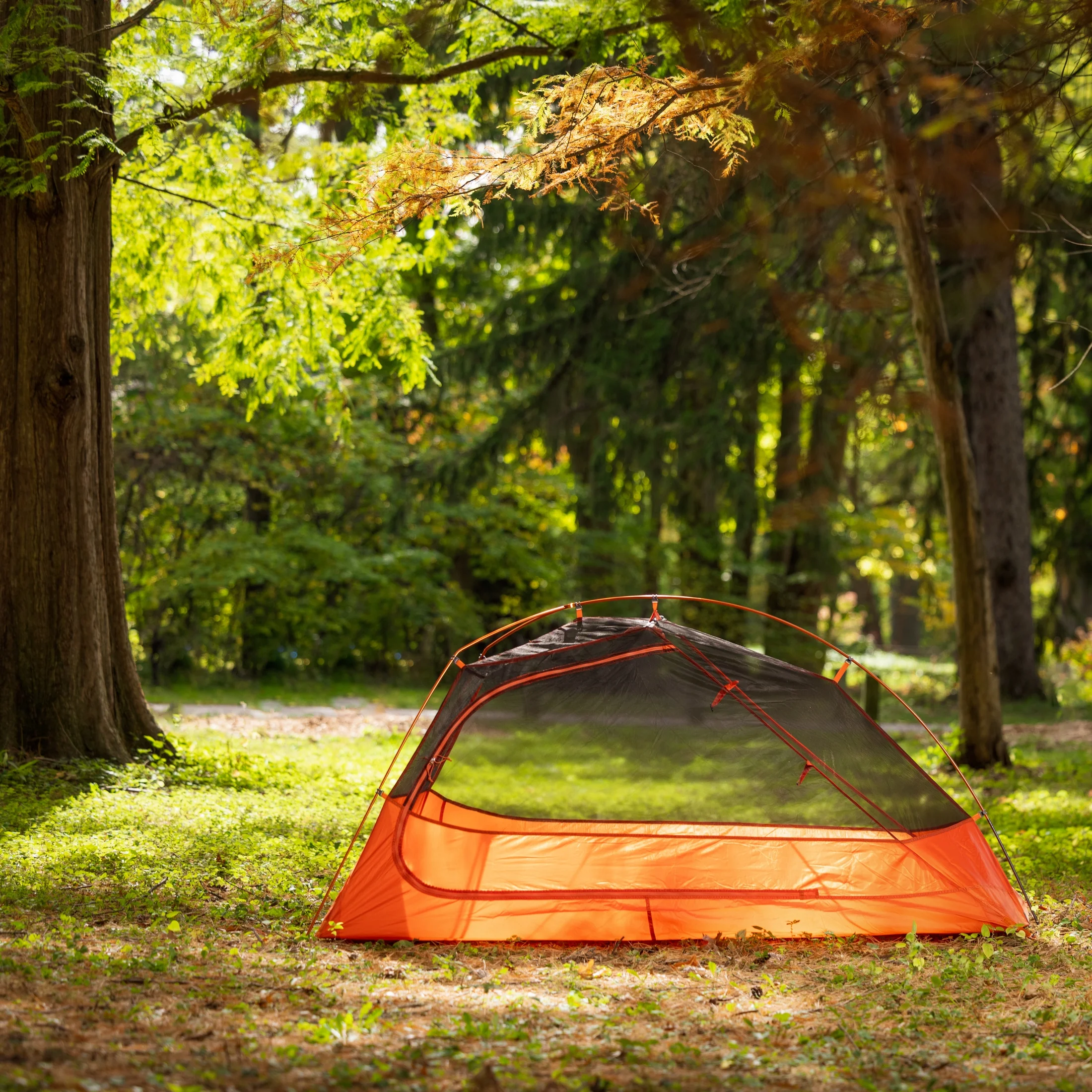 Ozark Trail 1-Person Lightweight Backpacking Tent, 82 in. x 51 in., 3.65 lb. Carry Weight, Orange - Womvr