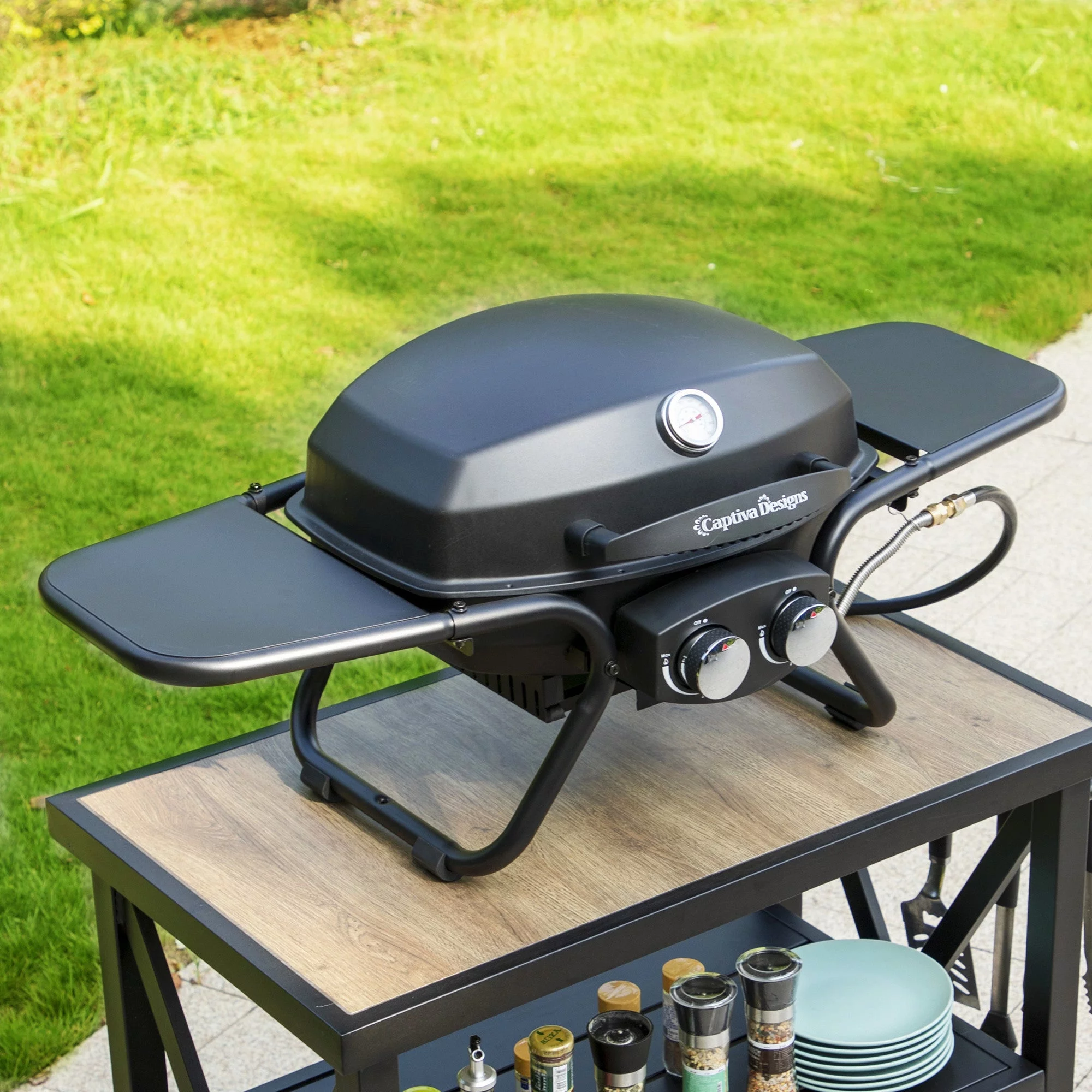 Sophia & William 2 Burner 15,000 BTU Portable Propane Gas Grill - Womvr