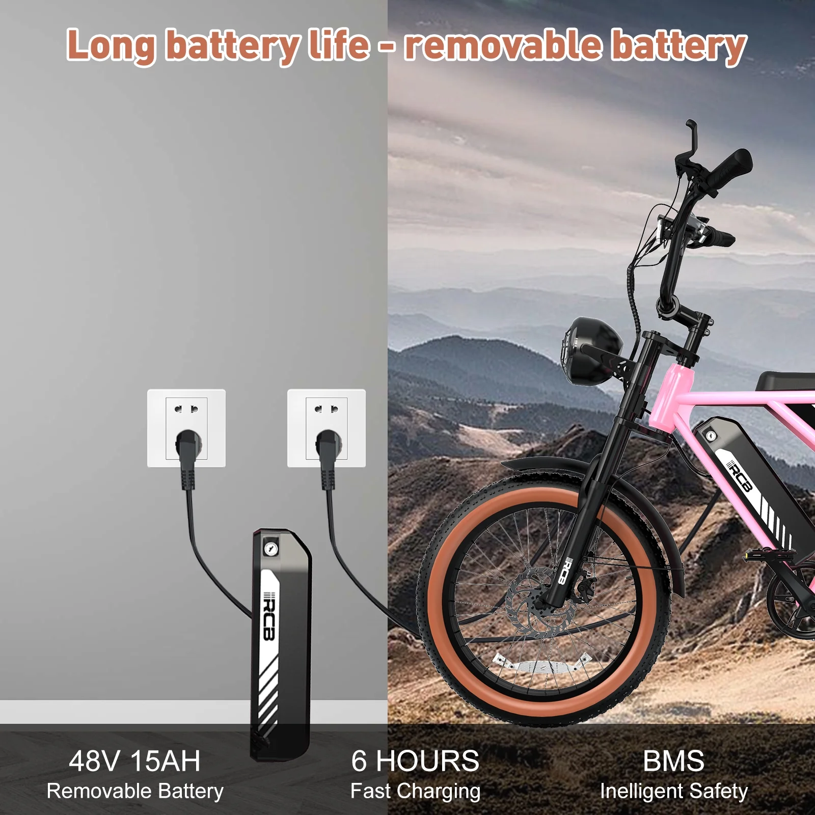 RCB 750W Electric Bike for Adults, 48V 15Ah Removable Li-Ion Battery, 20