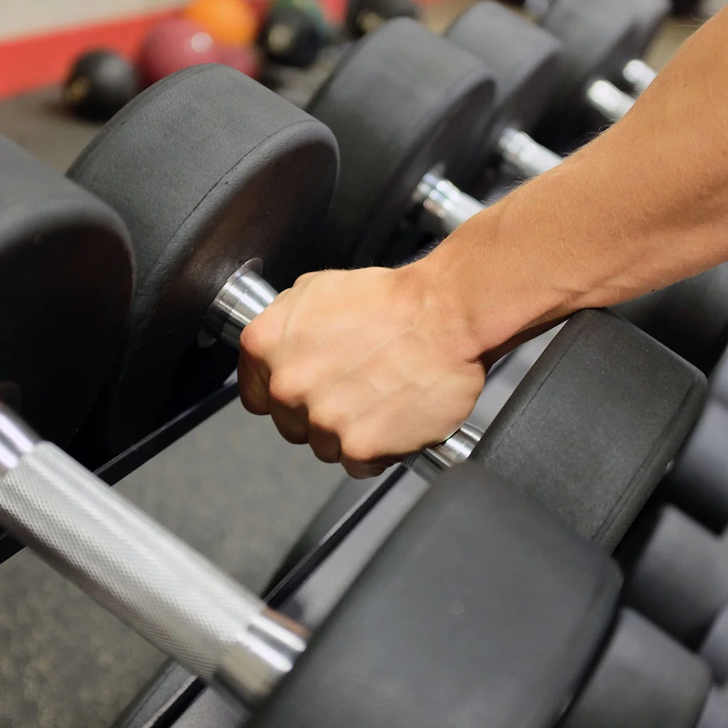 Premium Round Rubber Dumbbell - Womvr