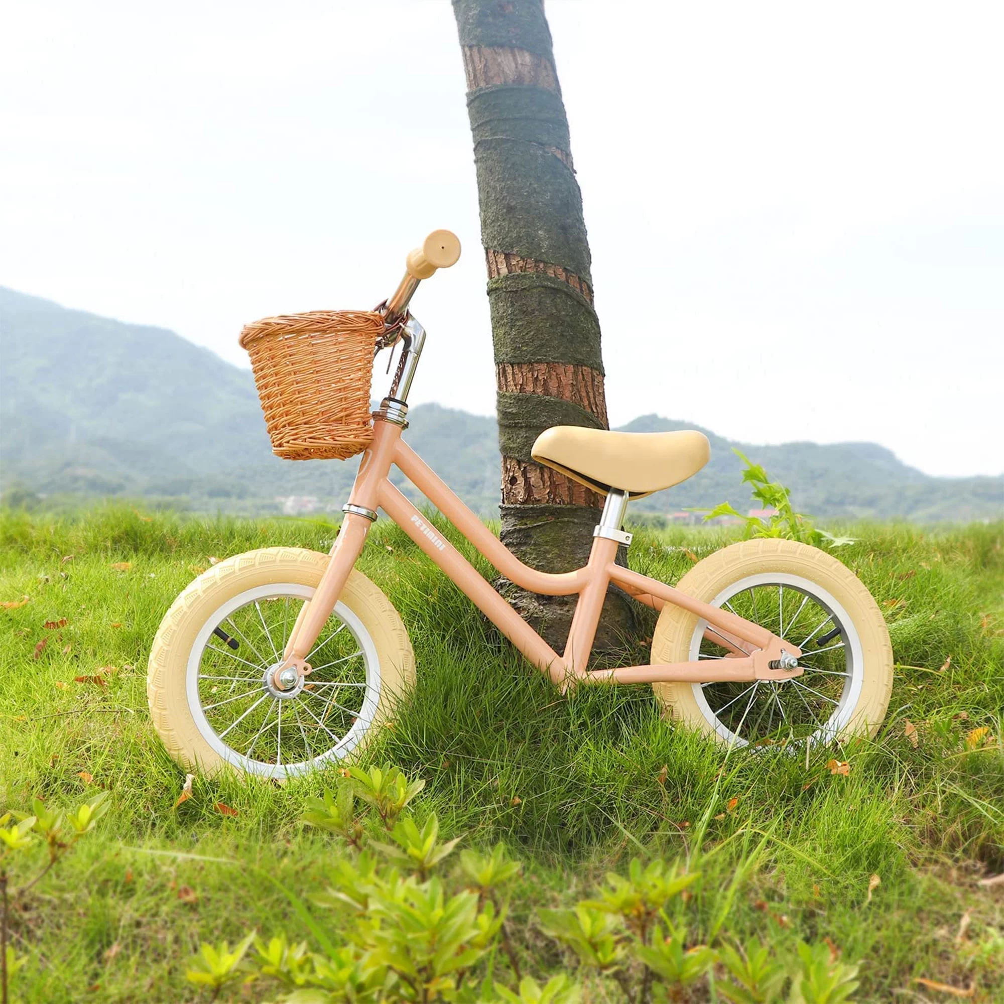 Petimini 12 Inch Kids Balance Bike with Basket for 2-6 Year Olds, Peach - Womvr