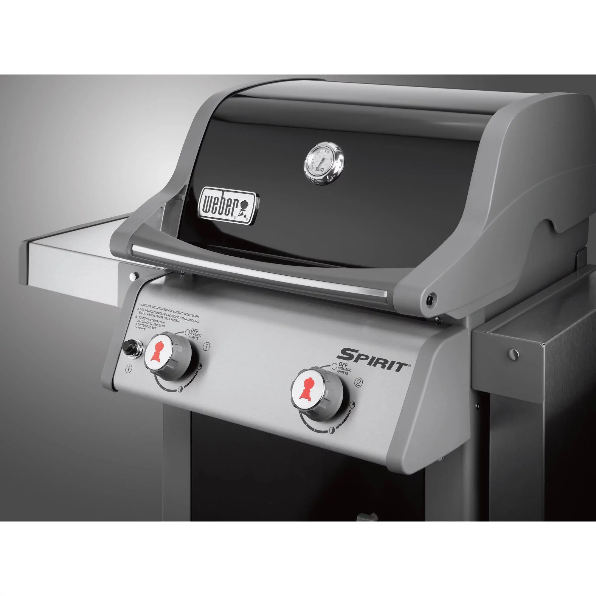 Weber Spirit E-210 2-Burner Liquid Propane Gas Grill in Black - Womvr