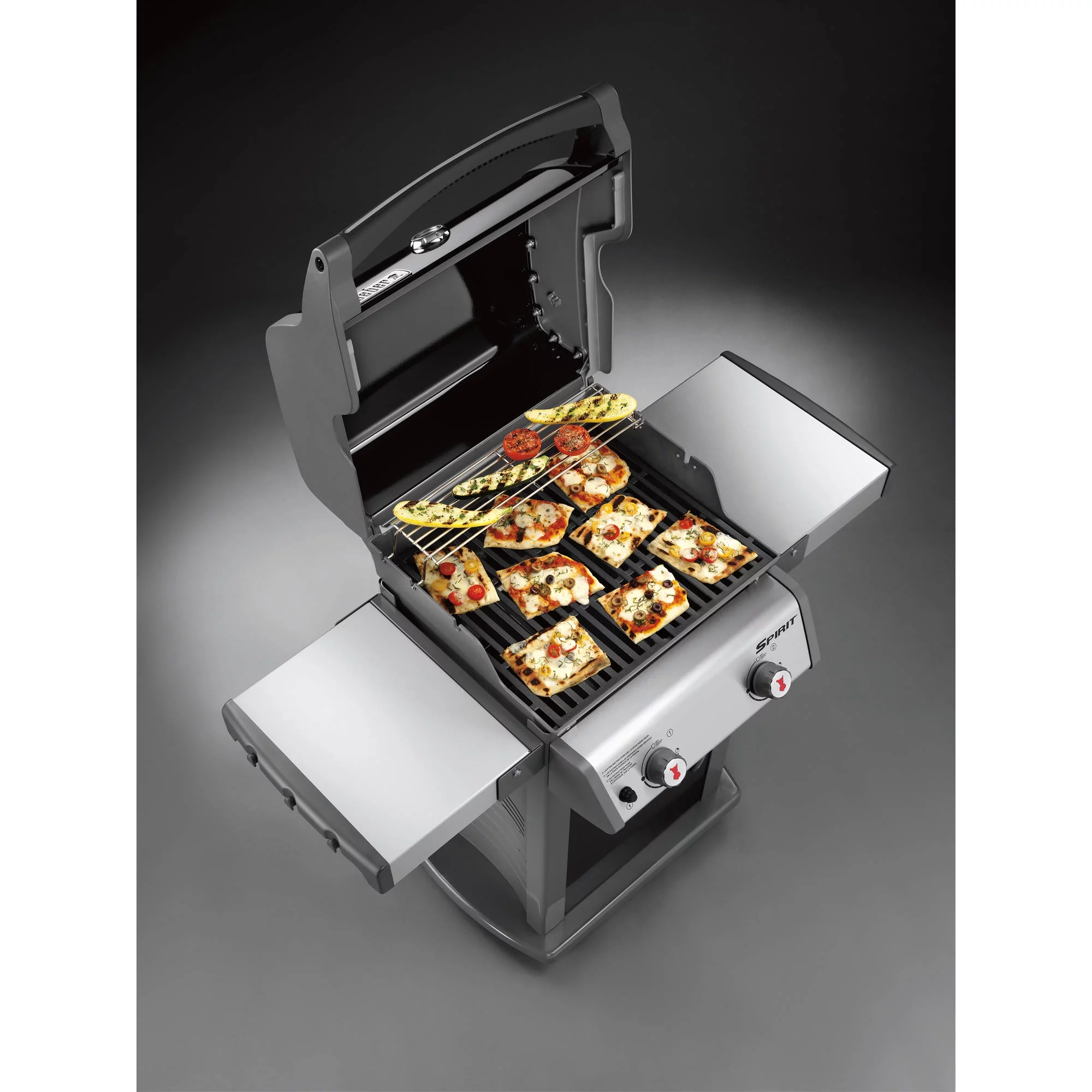 Weber Spirit E-210 2-Burner Liquid Propane Gas Grill in Black - Womvr