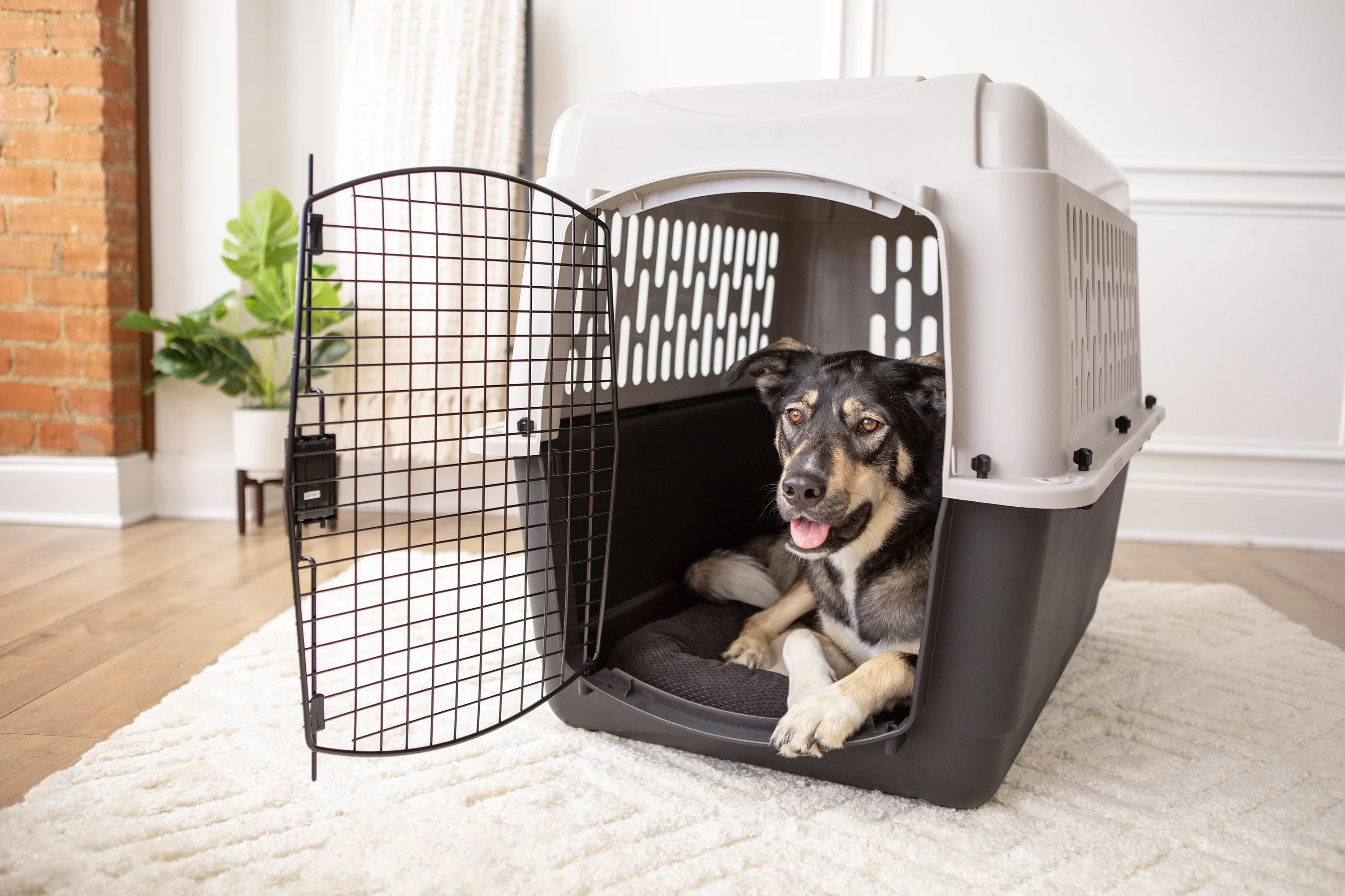 Vibrant Life Pet Kennel 19