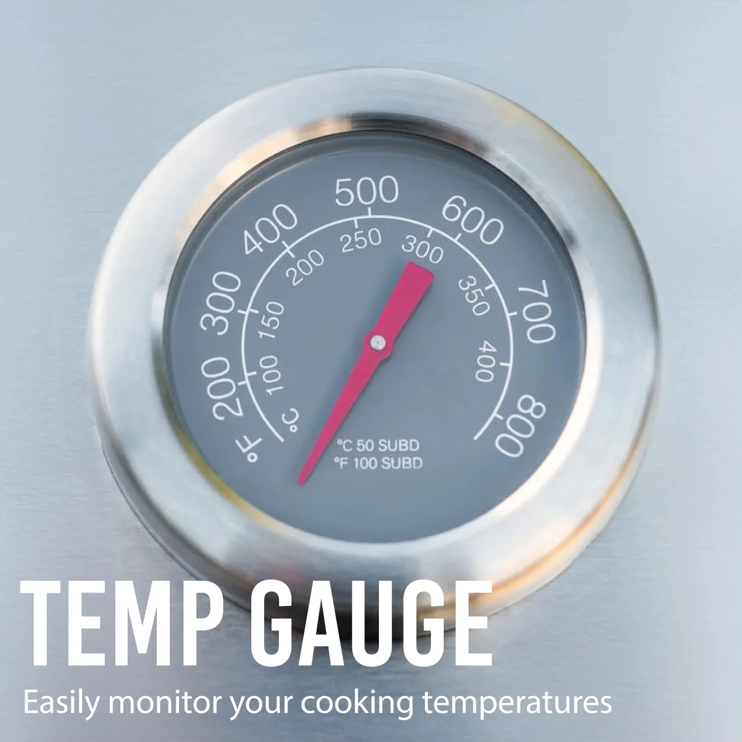 Expert Grill 5-Burner Propane Gas Grill with Side Burner - Womvr