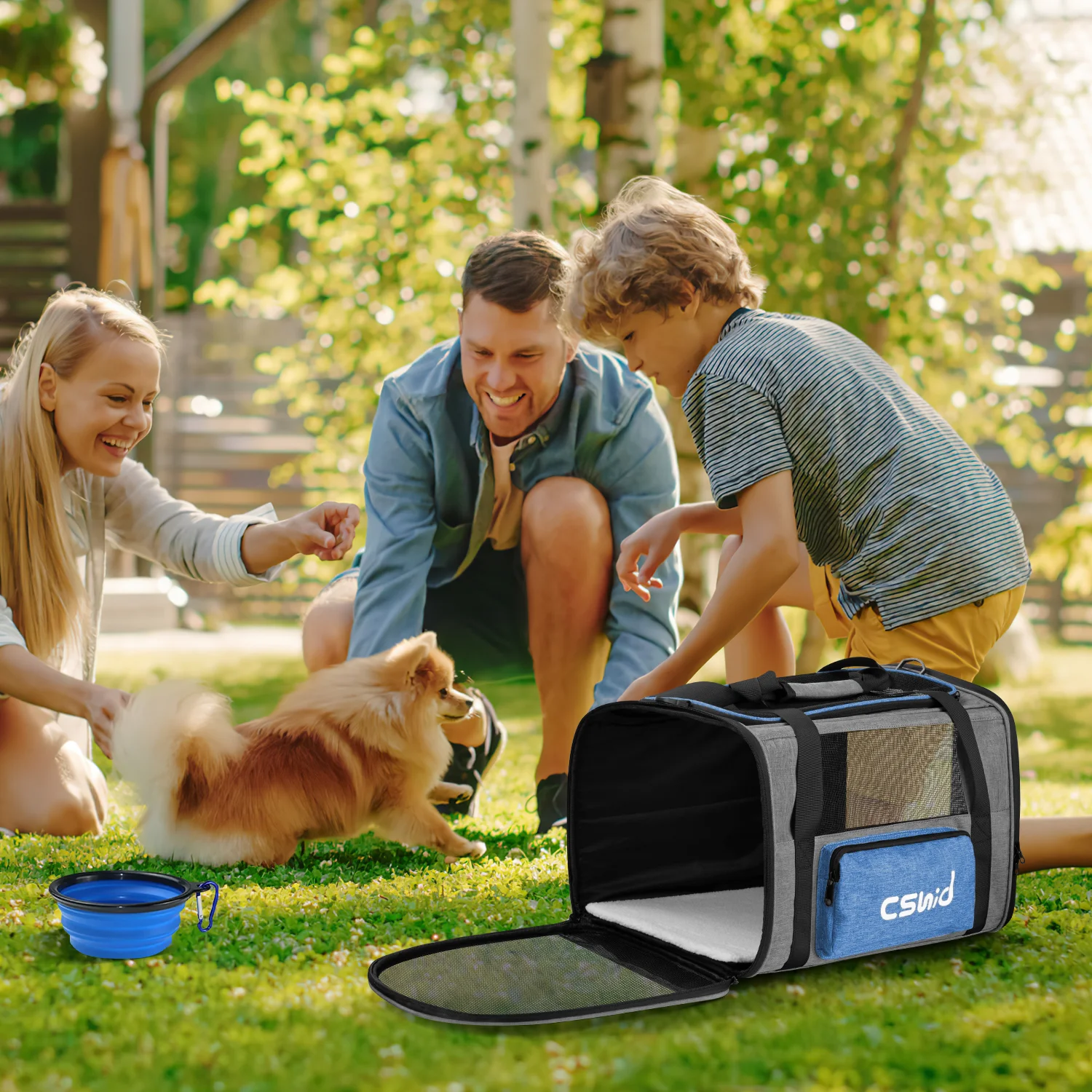 Cat Carrier, Soft Sided Cat Carriers for Large Small Medium Dogs Cats Under 25lbs, Foldable Pet Travel Carrier with a Bowl/Washable Pad, TSA Airline Approved, Blue - Womvr