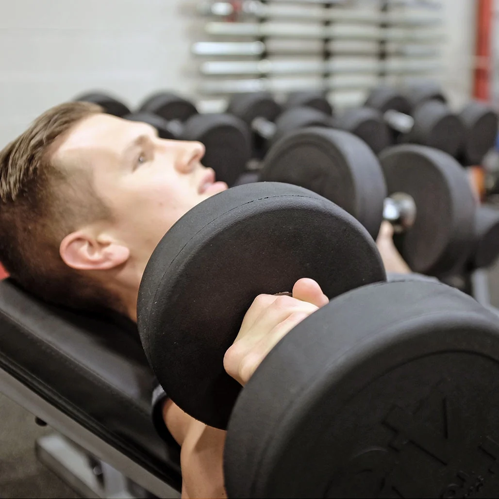 Premium Round Rubber Dumbbell - Womvr