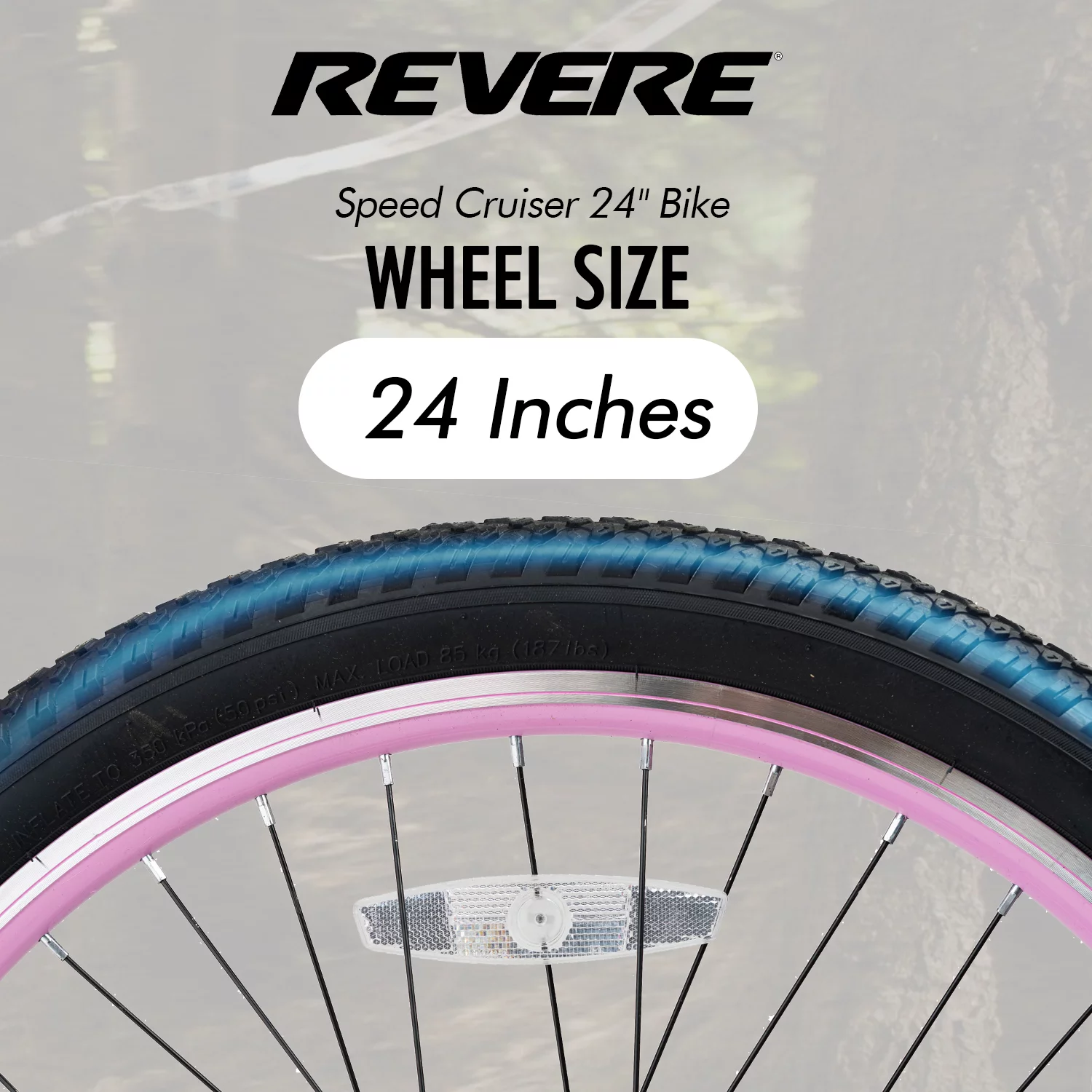 Revere Bicycles Kids and Adults 24