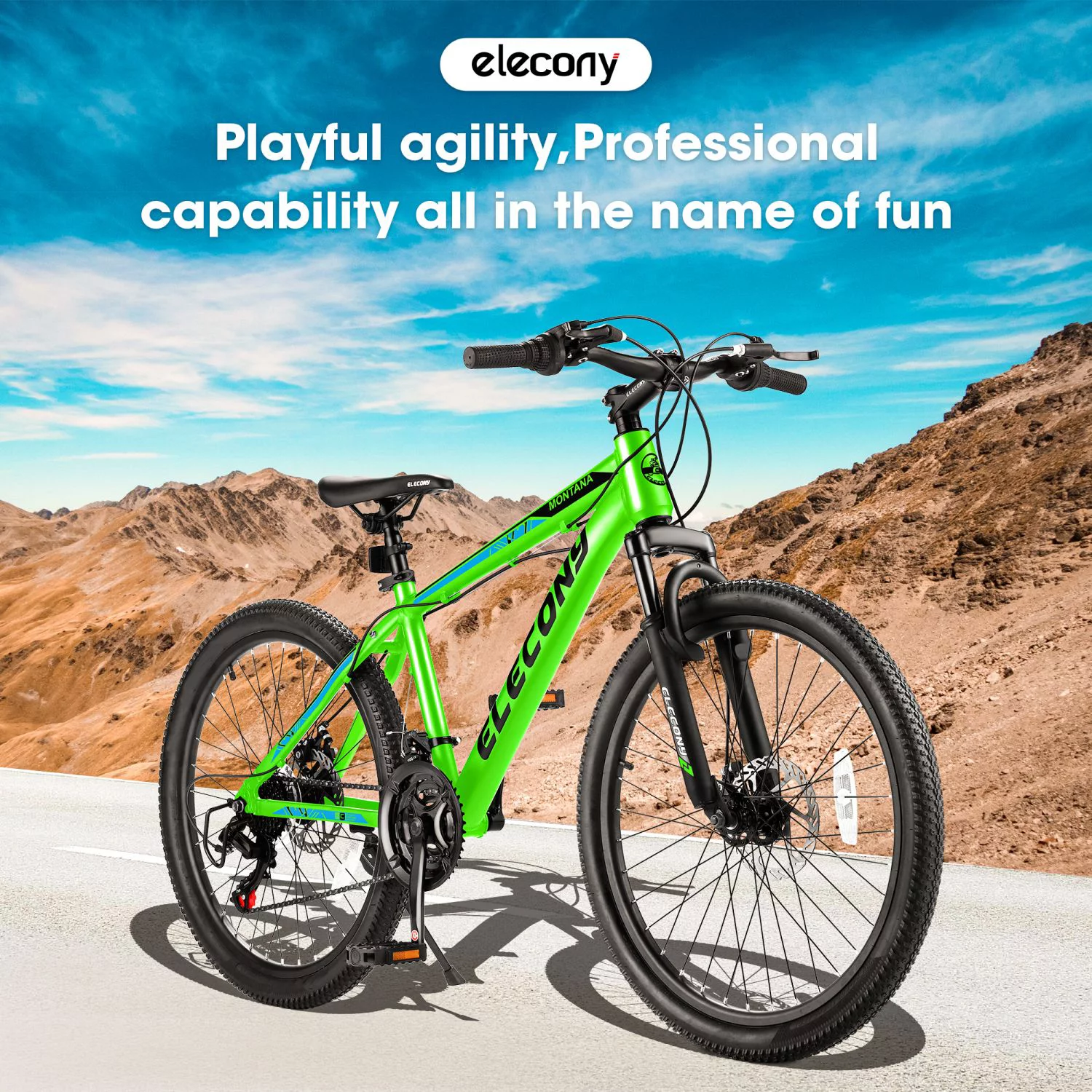 24 inch Mountain Bike, Shimano 21 Speed Drive, Dual Disc Brake, Front Suspension MTB For Boy Girl - Womvr