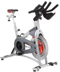 Schwinn AC Sport Indoor Cycle - Womvr