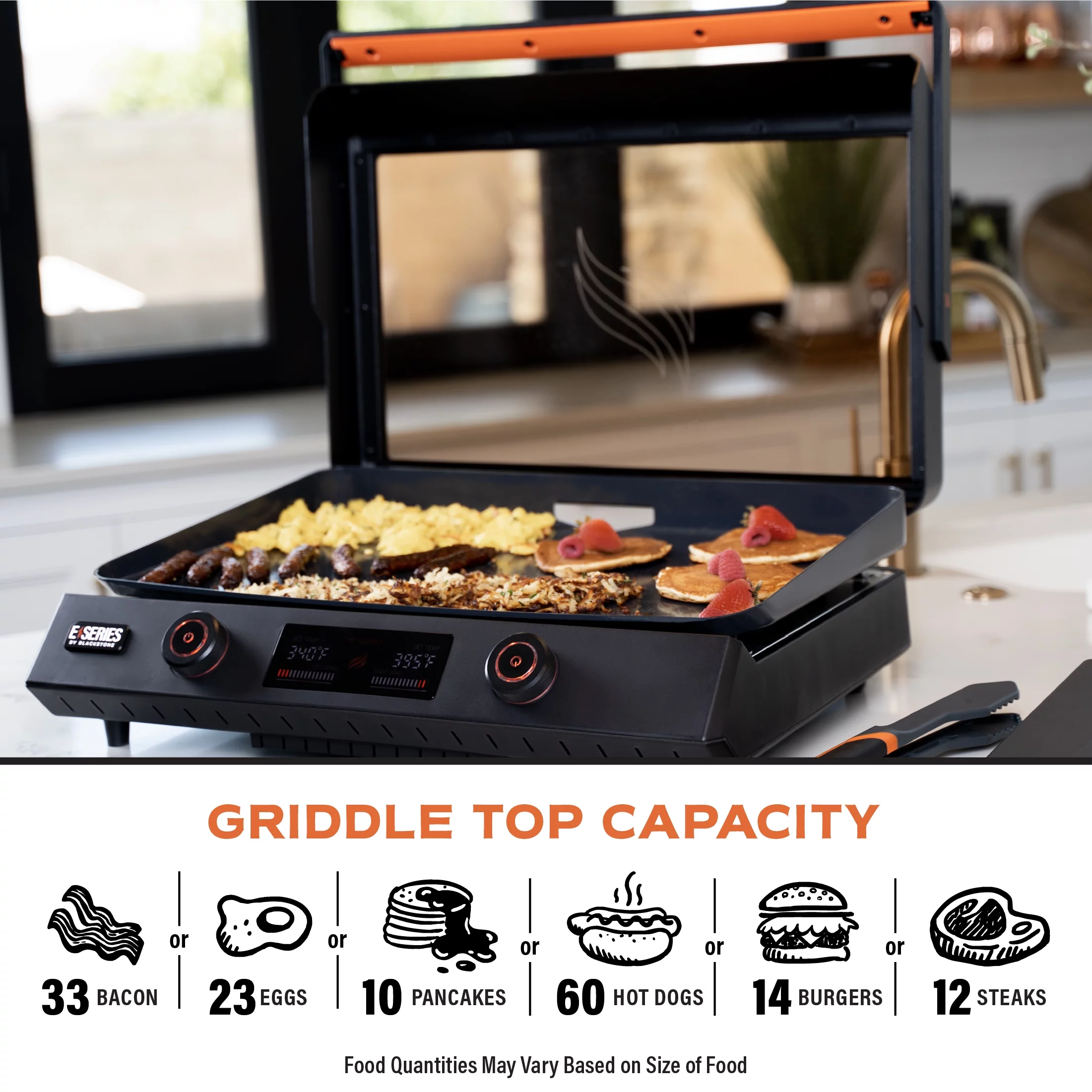 Blackstone E-Series 2-Burner 22