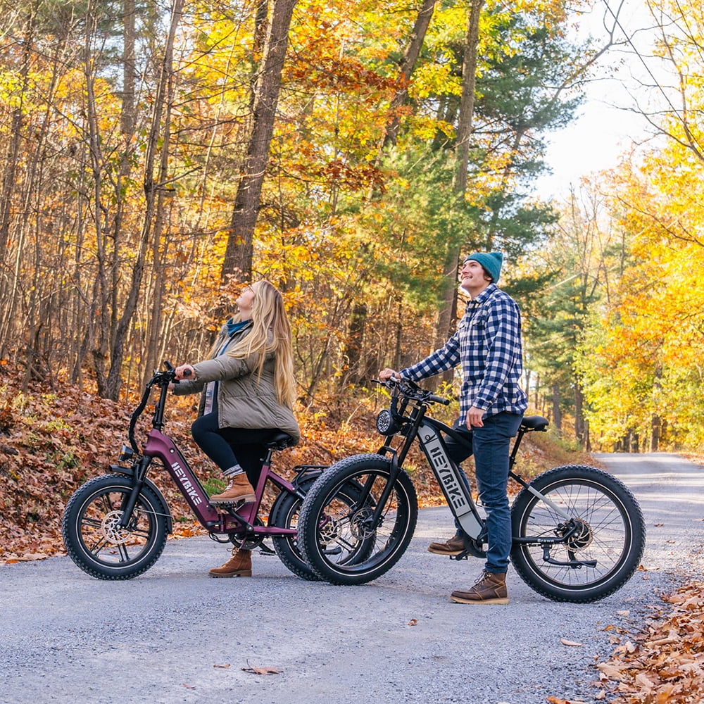 Heybike Brawn Electric Bike for Adults, 750W Fat Tire Ebikes with 48V 18Ah Removable Battery, 26'' Wheel Electric Mountain Bike, Hydraulic Front Fork Electric Bicycles - Womvr