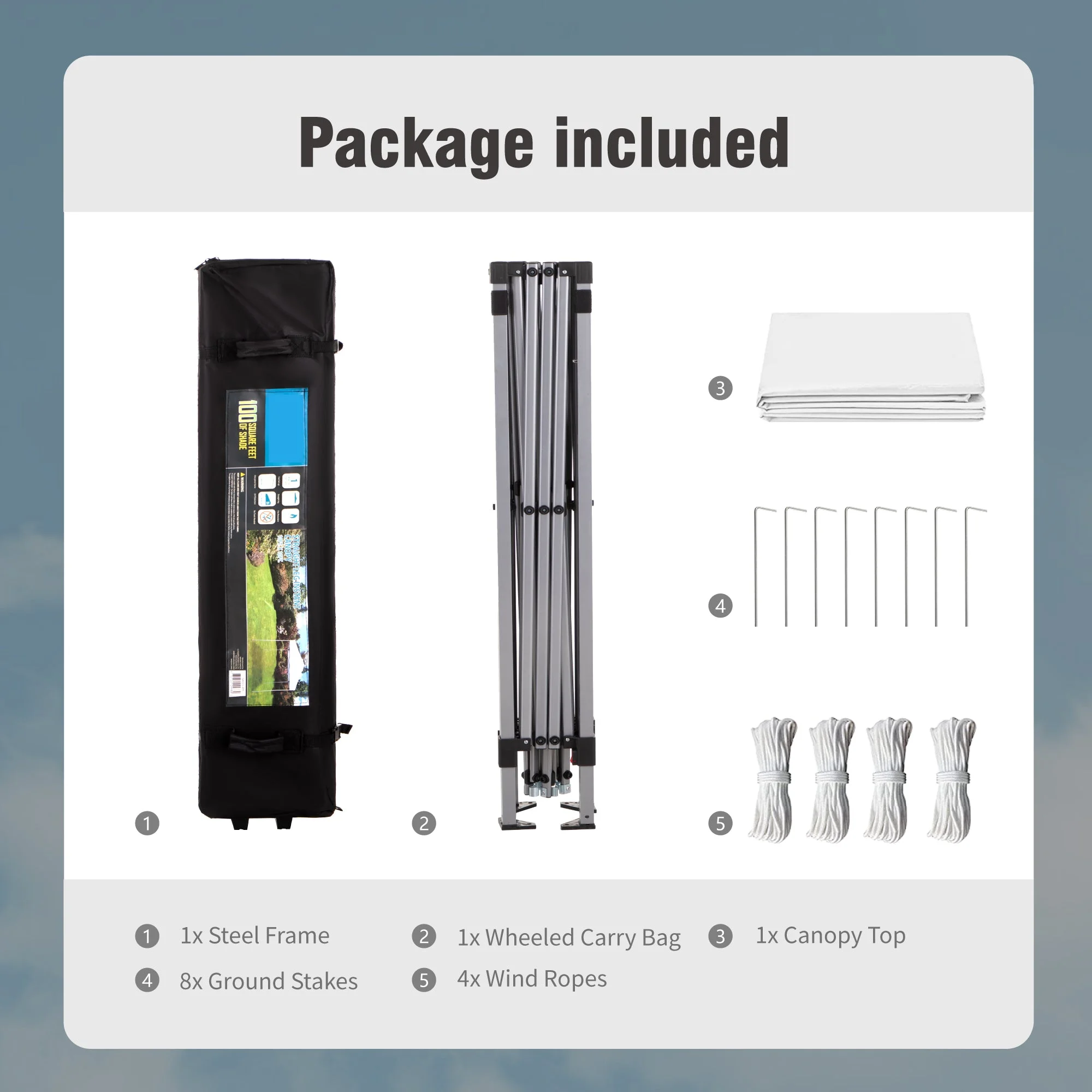 Alpha Joy 10'x 10' Pop up Canopy Tent Outdoor Event Instant Tent with Roller Bag, Blue - Womvr